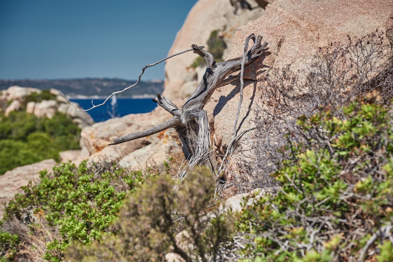 Spargi, La Maddalena, Italy