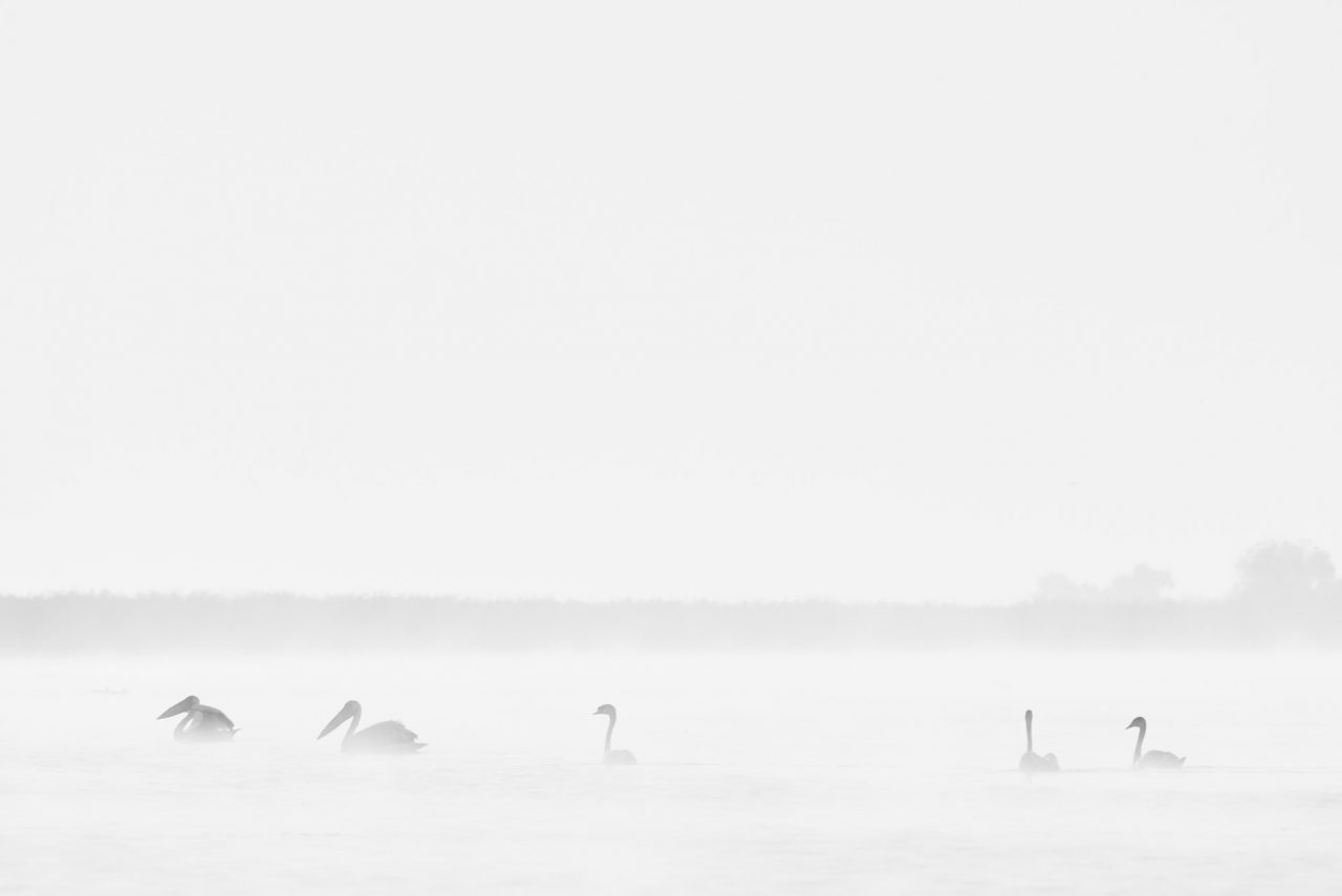Danube Delta Photographed by Lucian Niculescu