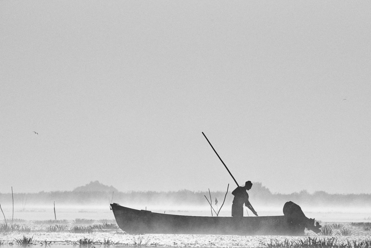 Danube Delta Photographed by Lucian Niculescu