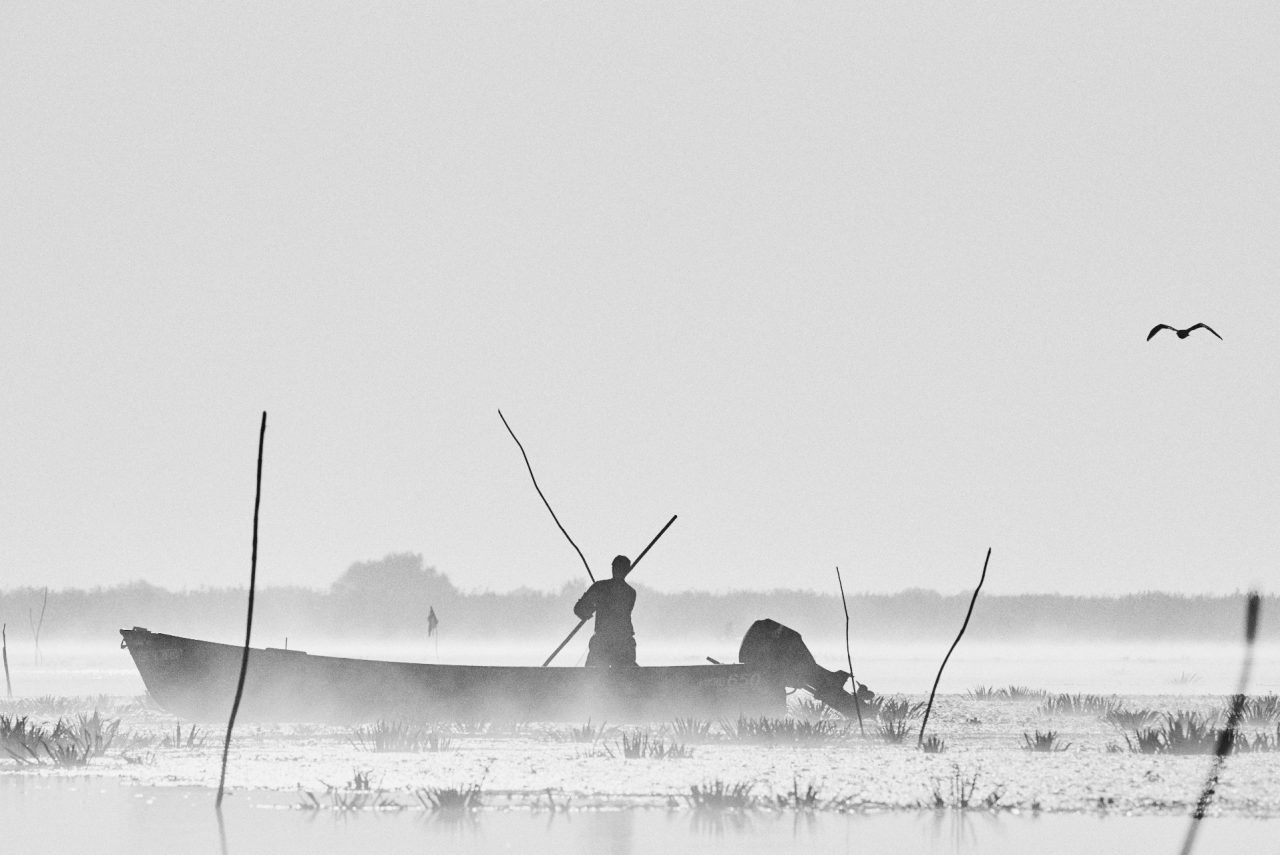 Danube Delta Photographed by Lucian Niculescu