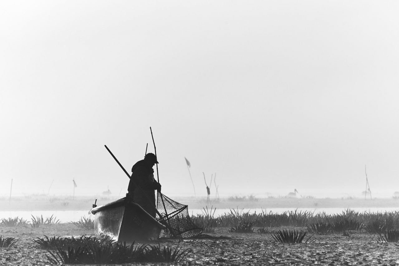 Danube Delta Photographed by Lucian Niculescu