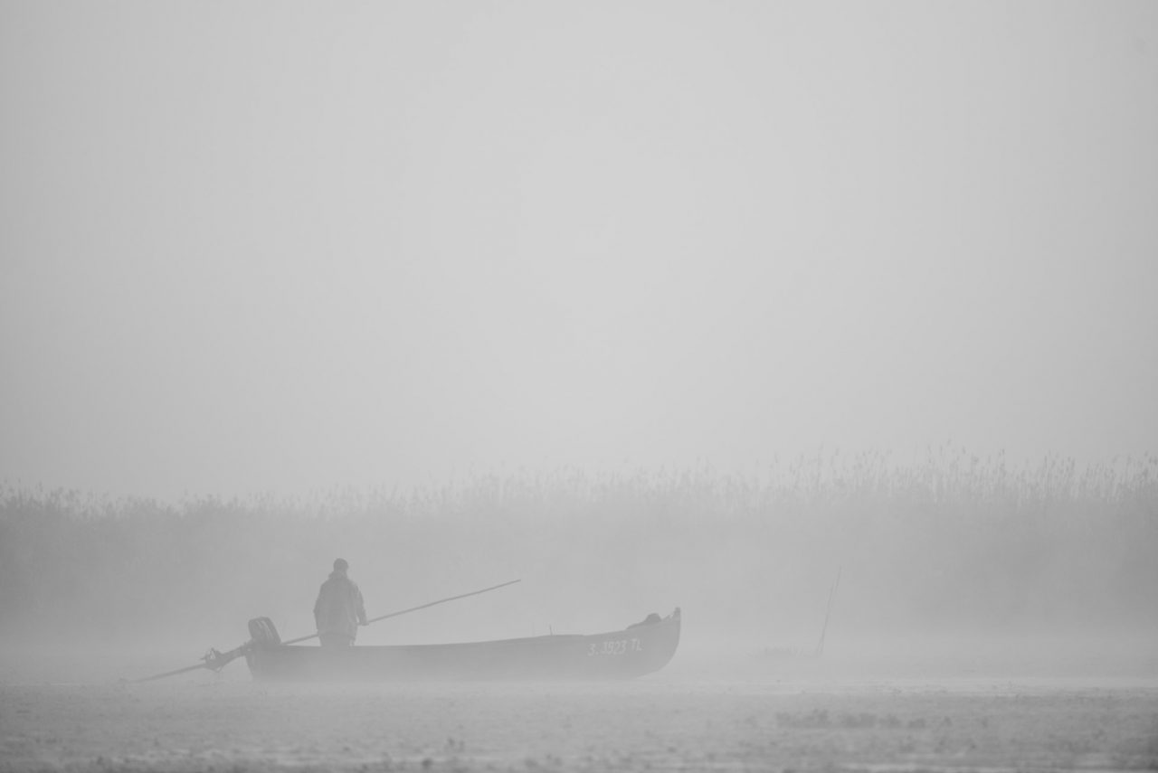 Danube Delta Photographed by Lucian Niculescu