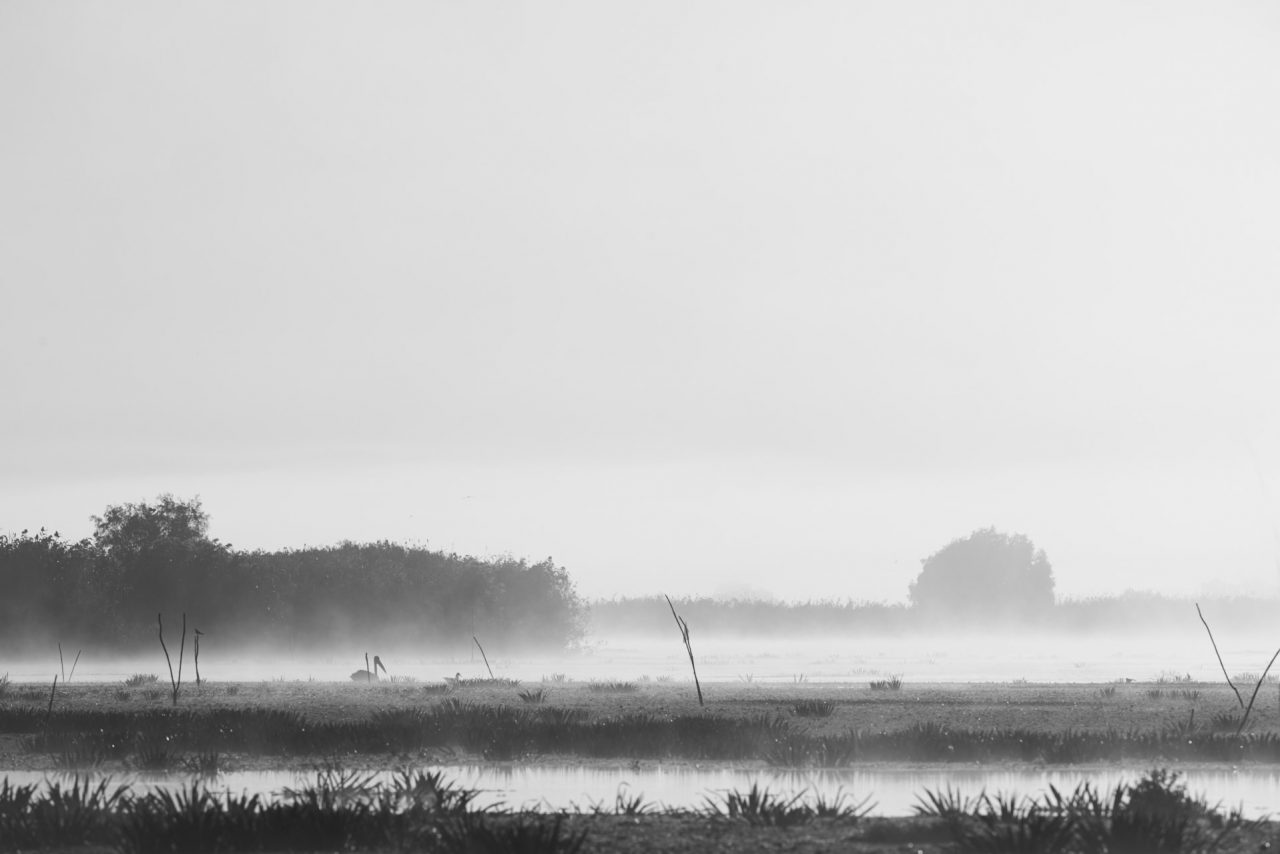 Danube Delta Photographed by Lucian Niculescu