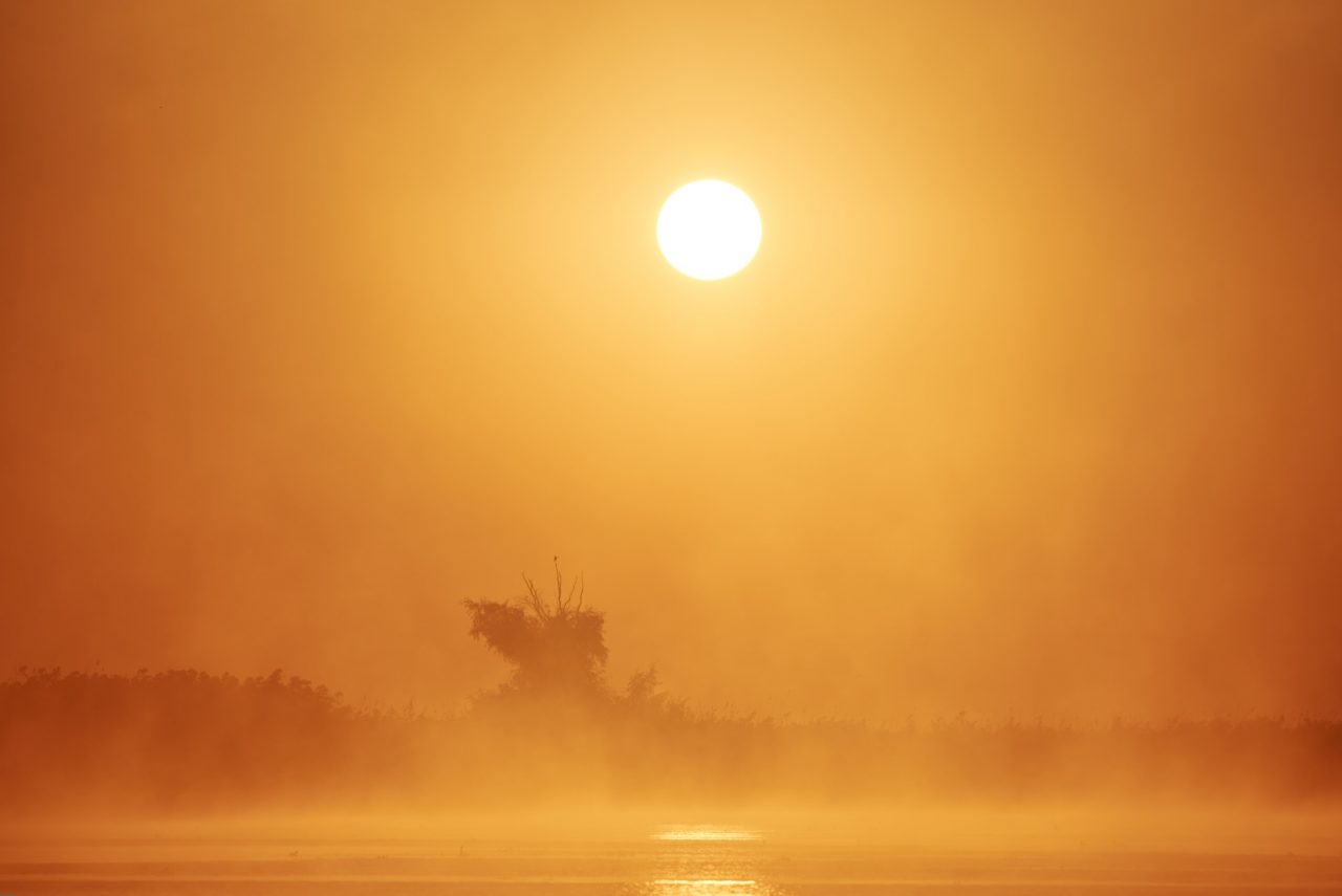 Danube Delta Photographed by Lucian Niculescu