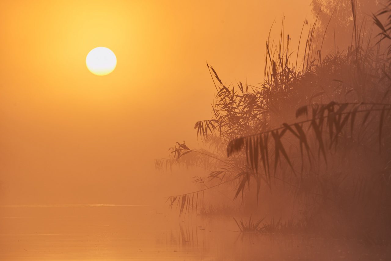 Danube Delta Photographed by Lucian Niculescu