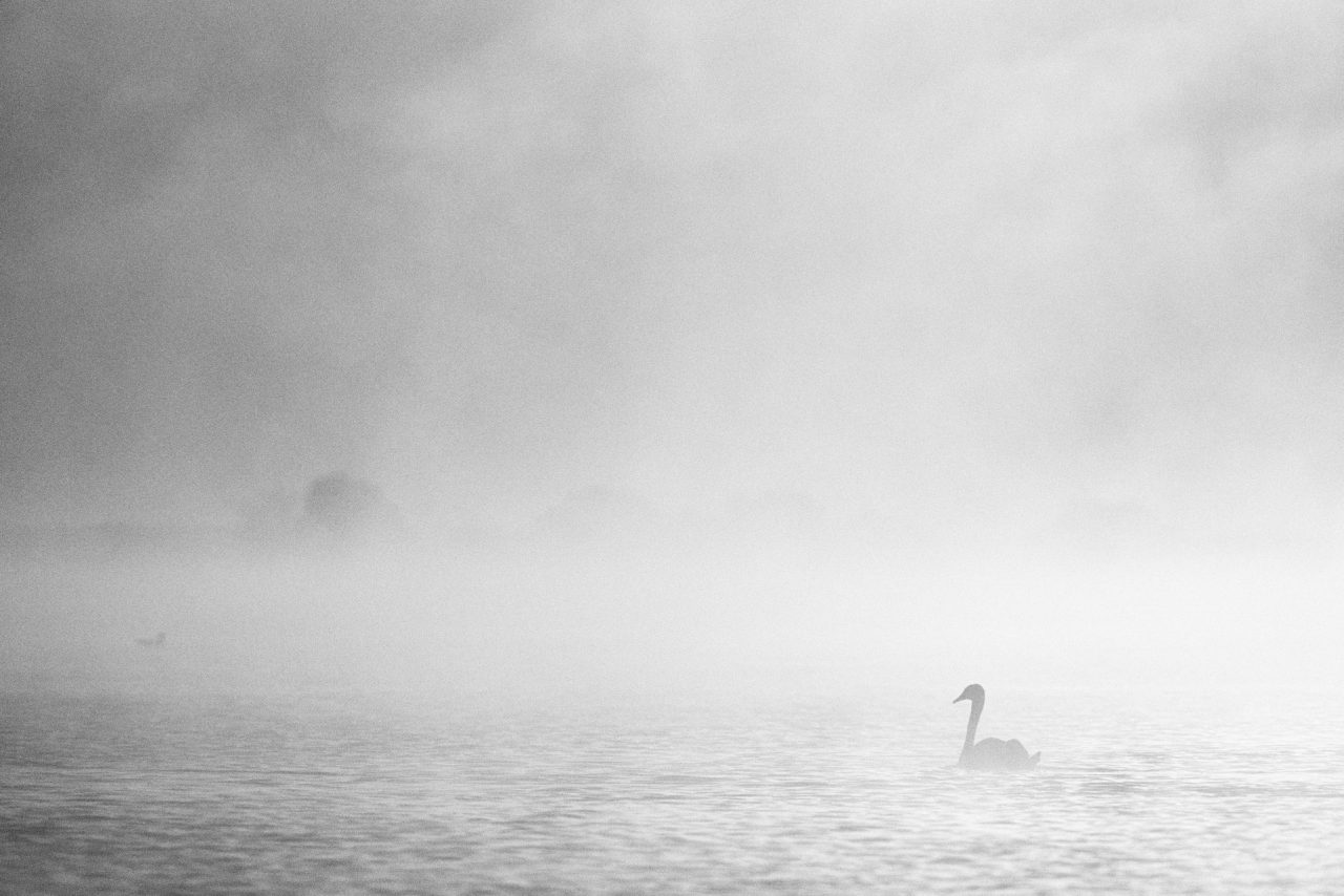 Danube Delta Photographed by Lucian Niculescu