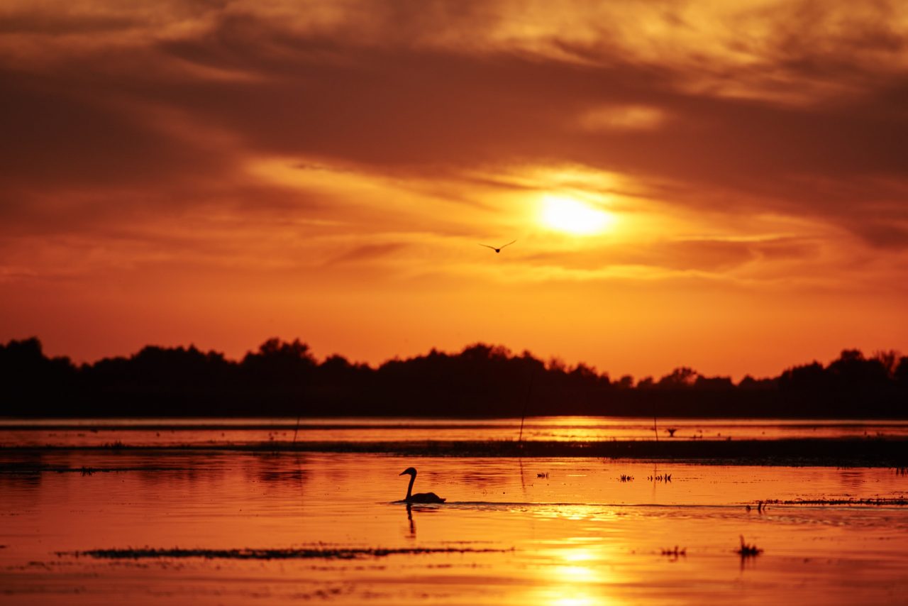 Danube Delta Photographed by Lucian Niculescu