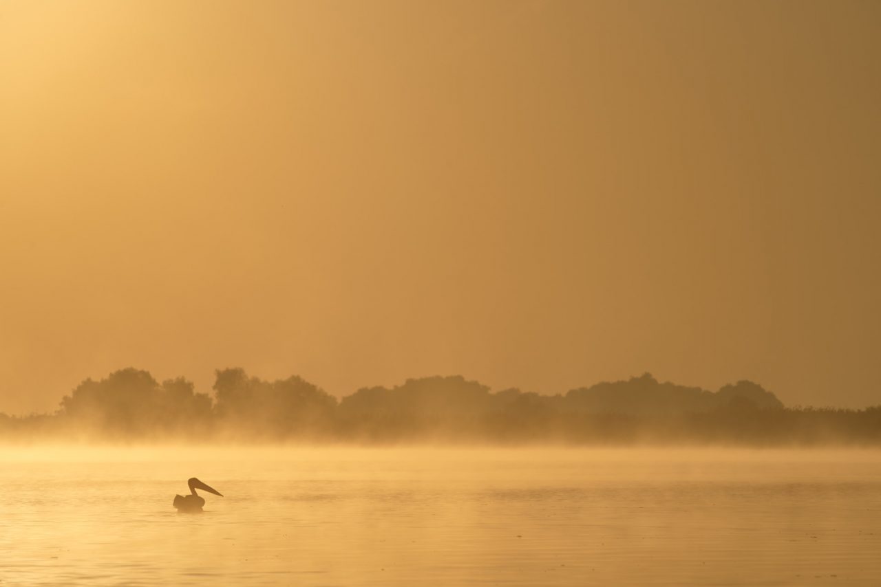 Danube Delta Photographed by Lucian Niculescu