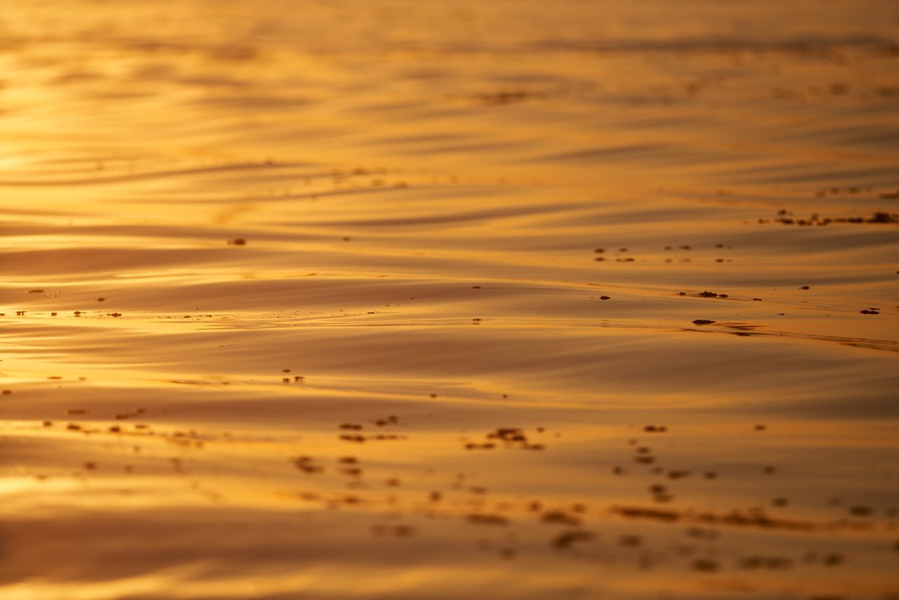 Danube Delta Photographed by Lucian Niculescu