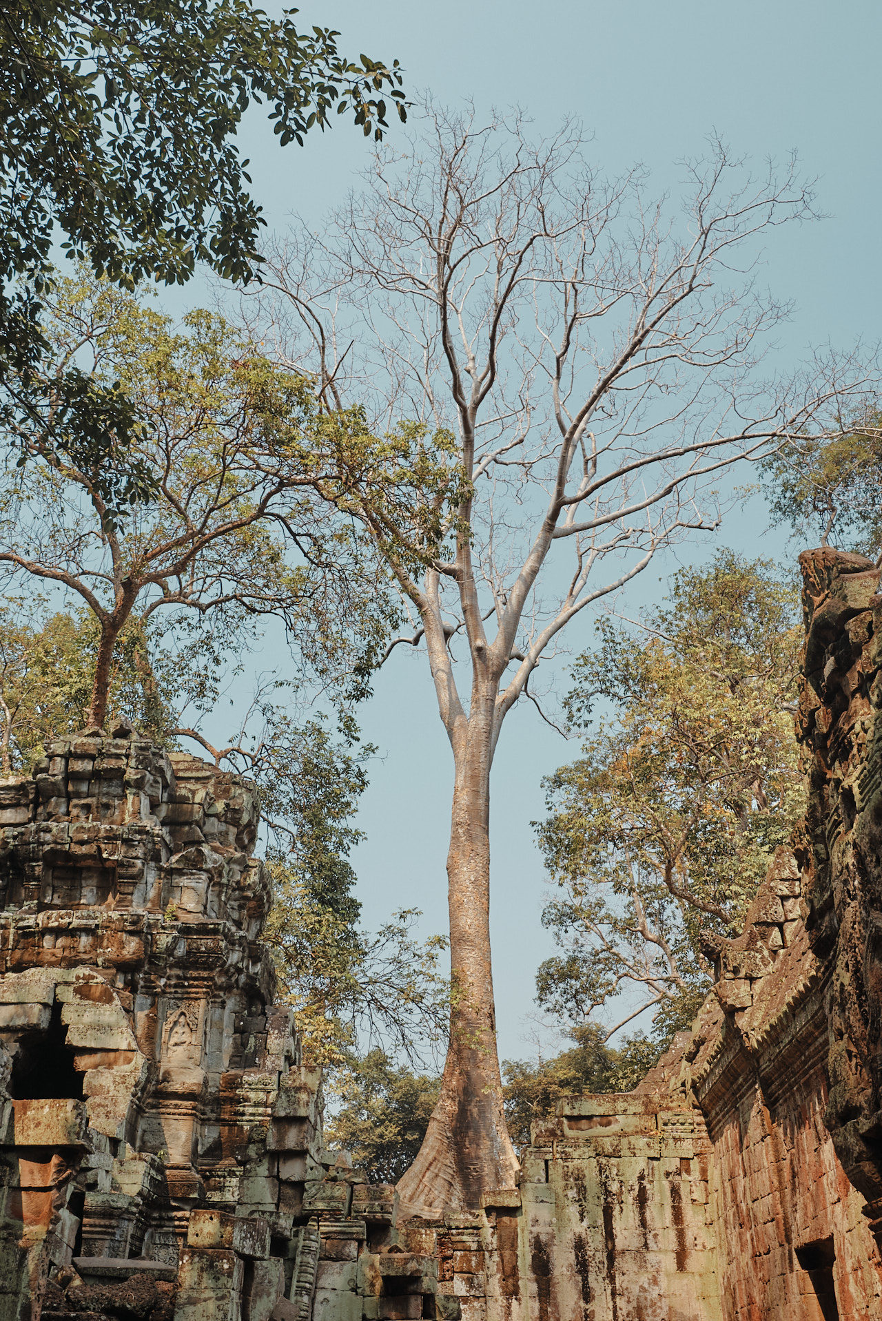 Angkor Archeological Park Cambodia Photographed by Lucian Niculescu