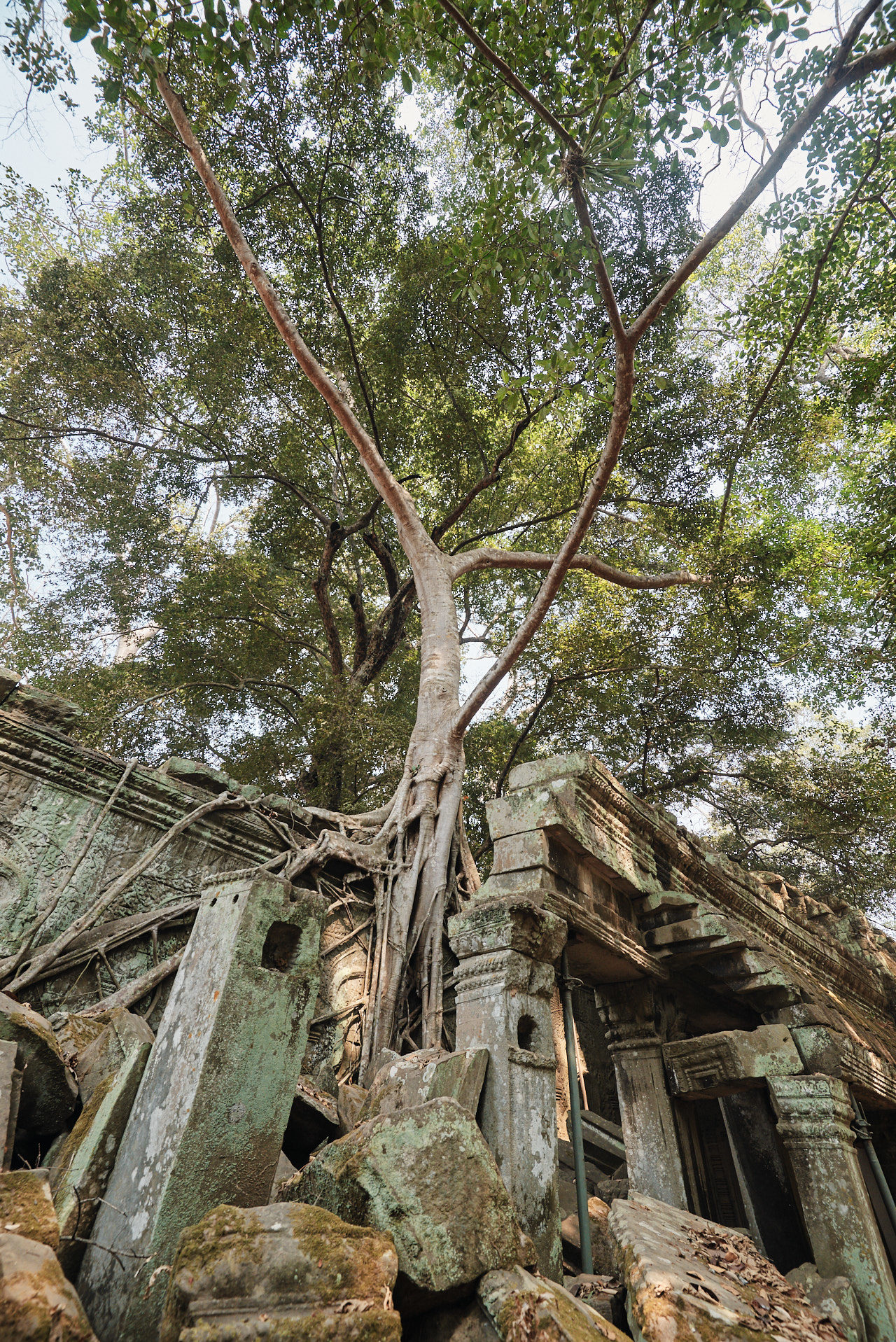 Angkor Archeological Park Cambodia Photographed by Lucian Niculescu
