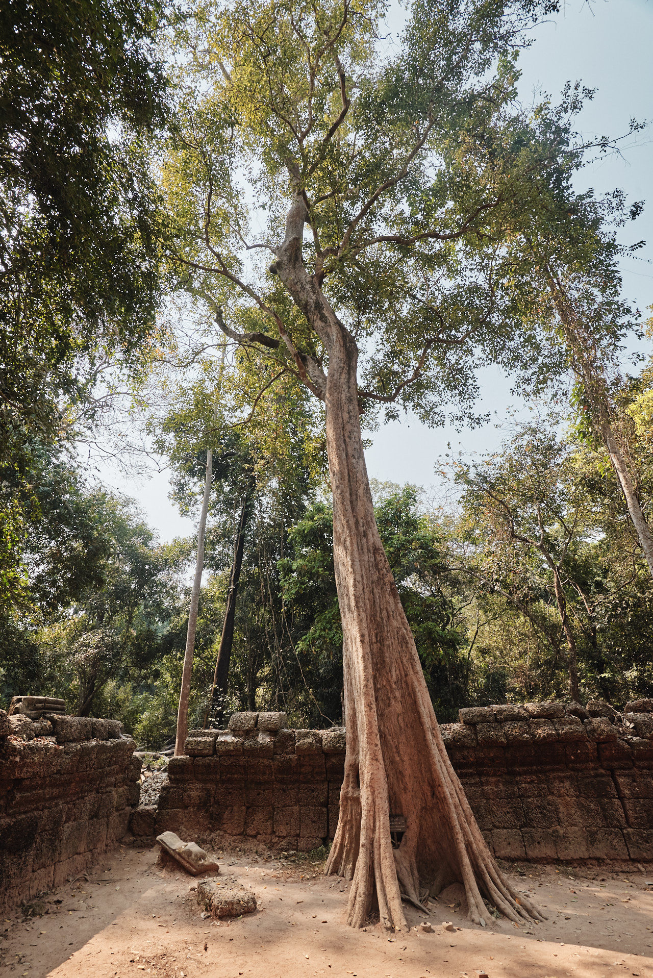 Angkor Archeological Park Cambodia Photographed by Lucian Niculescu