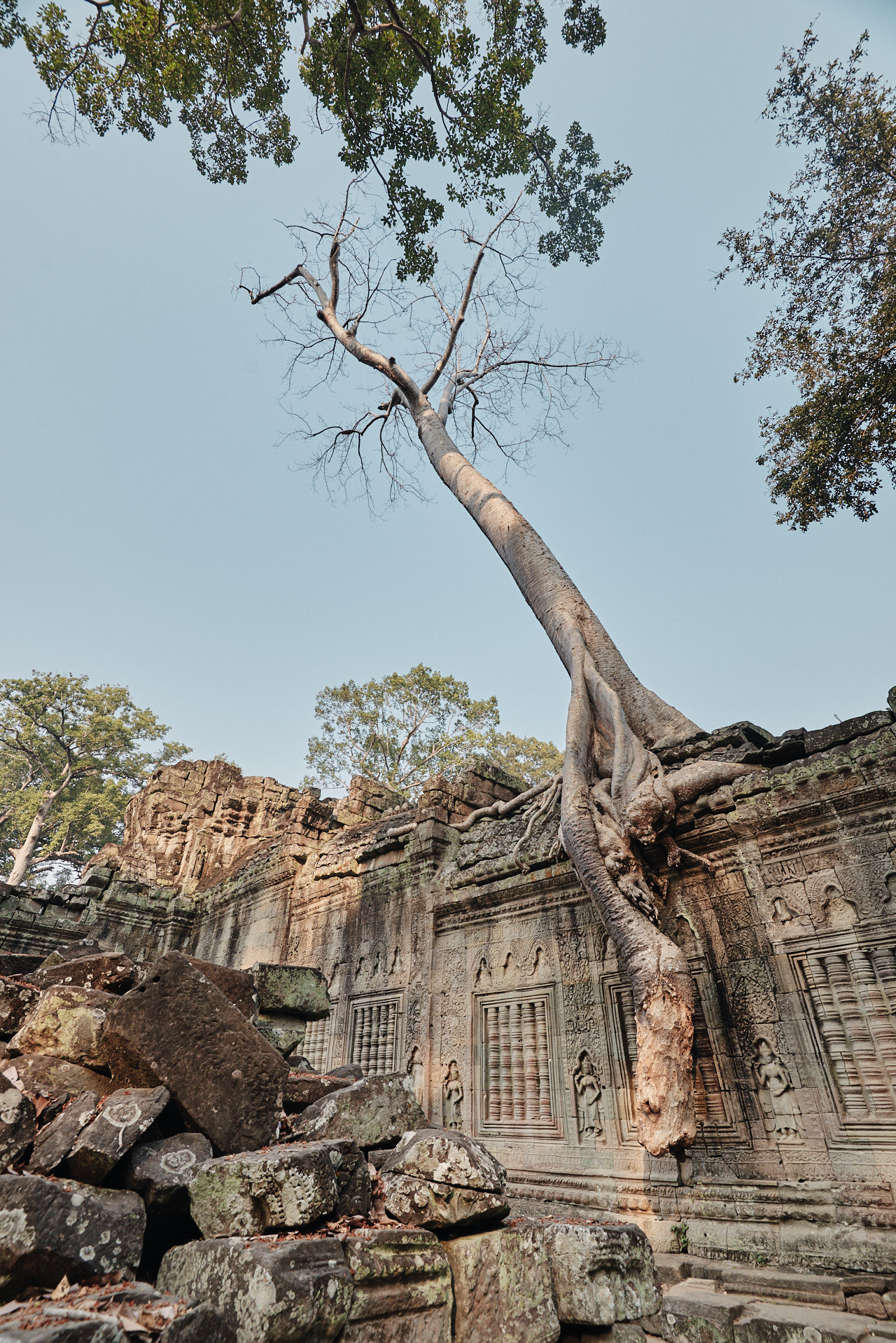 Angkor Archeological Park Cambodia Photographed by Lucian Niculescu