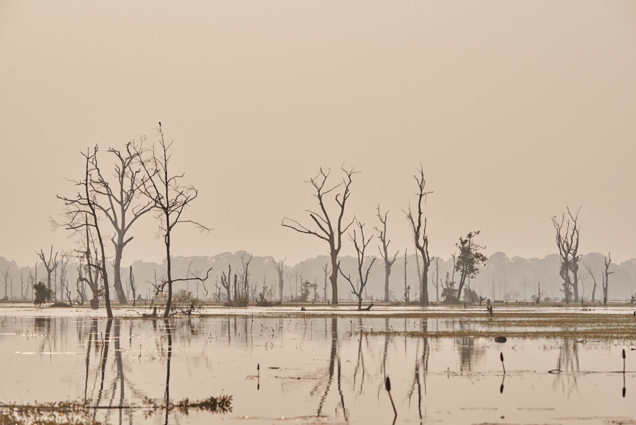 Angkor Archeological Park Cambodia Photographed by Lucian Niculescu
