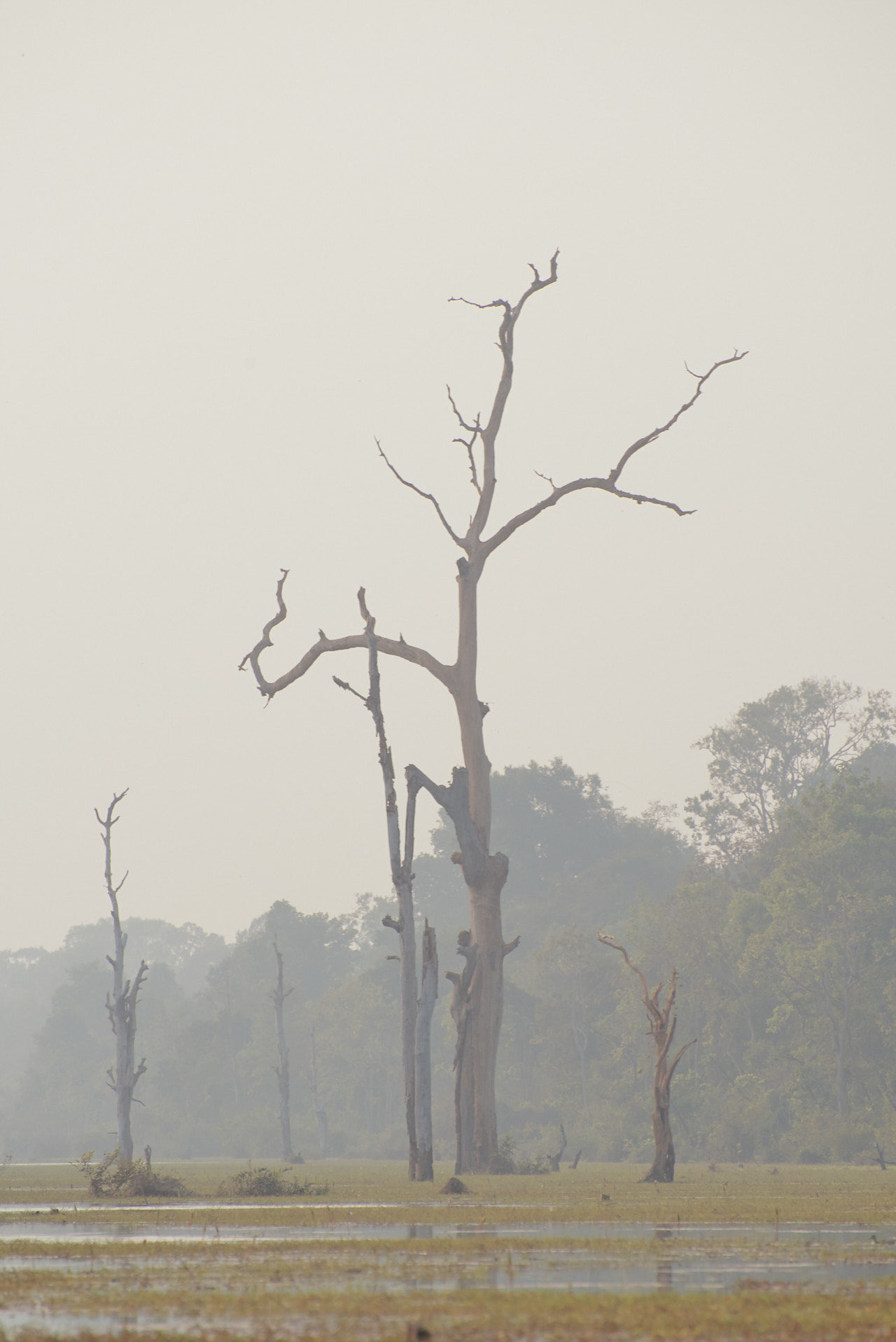 Angkor Archeological Park Cambodia Photographed by Lucian Niculescu
