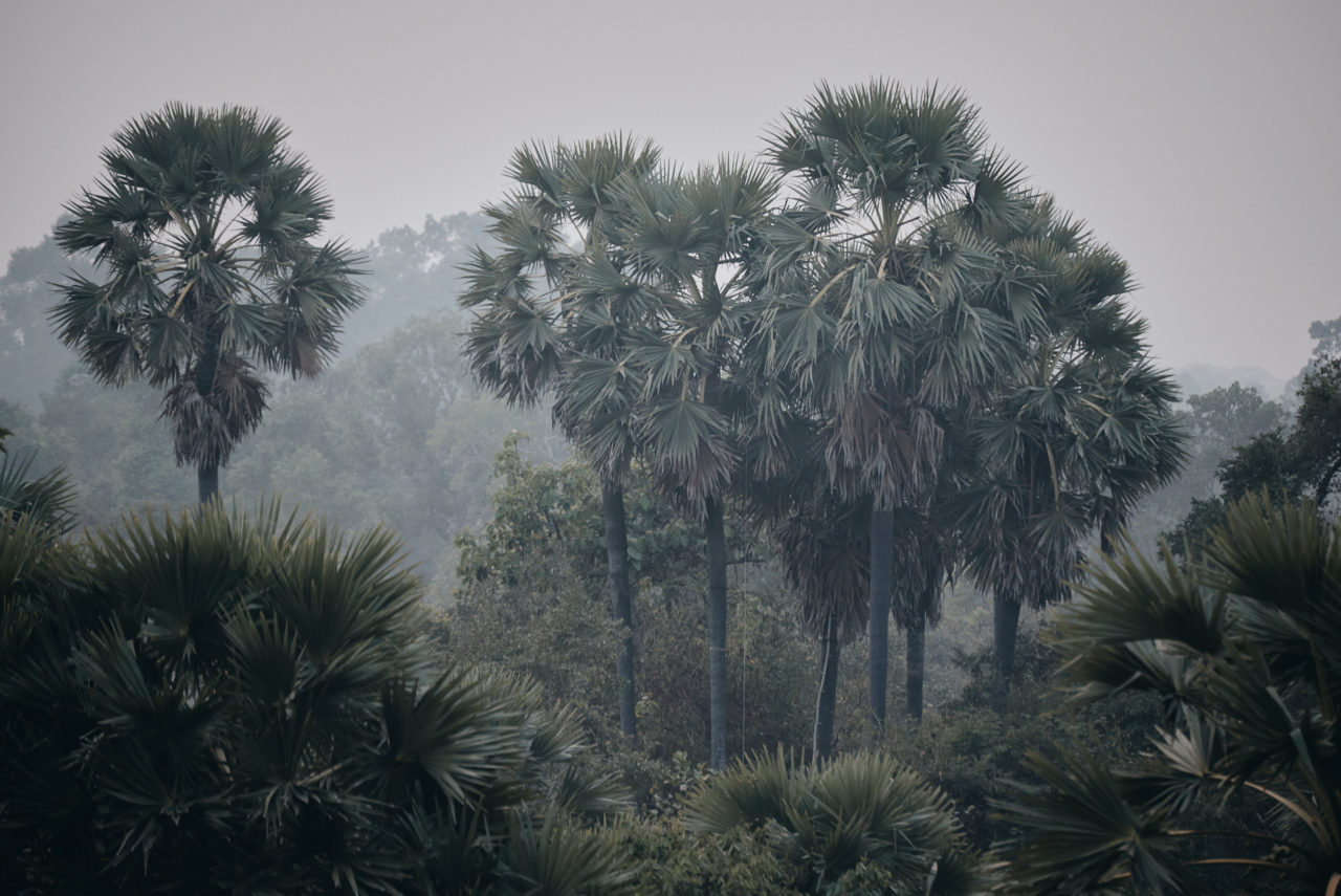 Angkor Archeological Park Cambodia Photographed by Lucian Niculescu