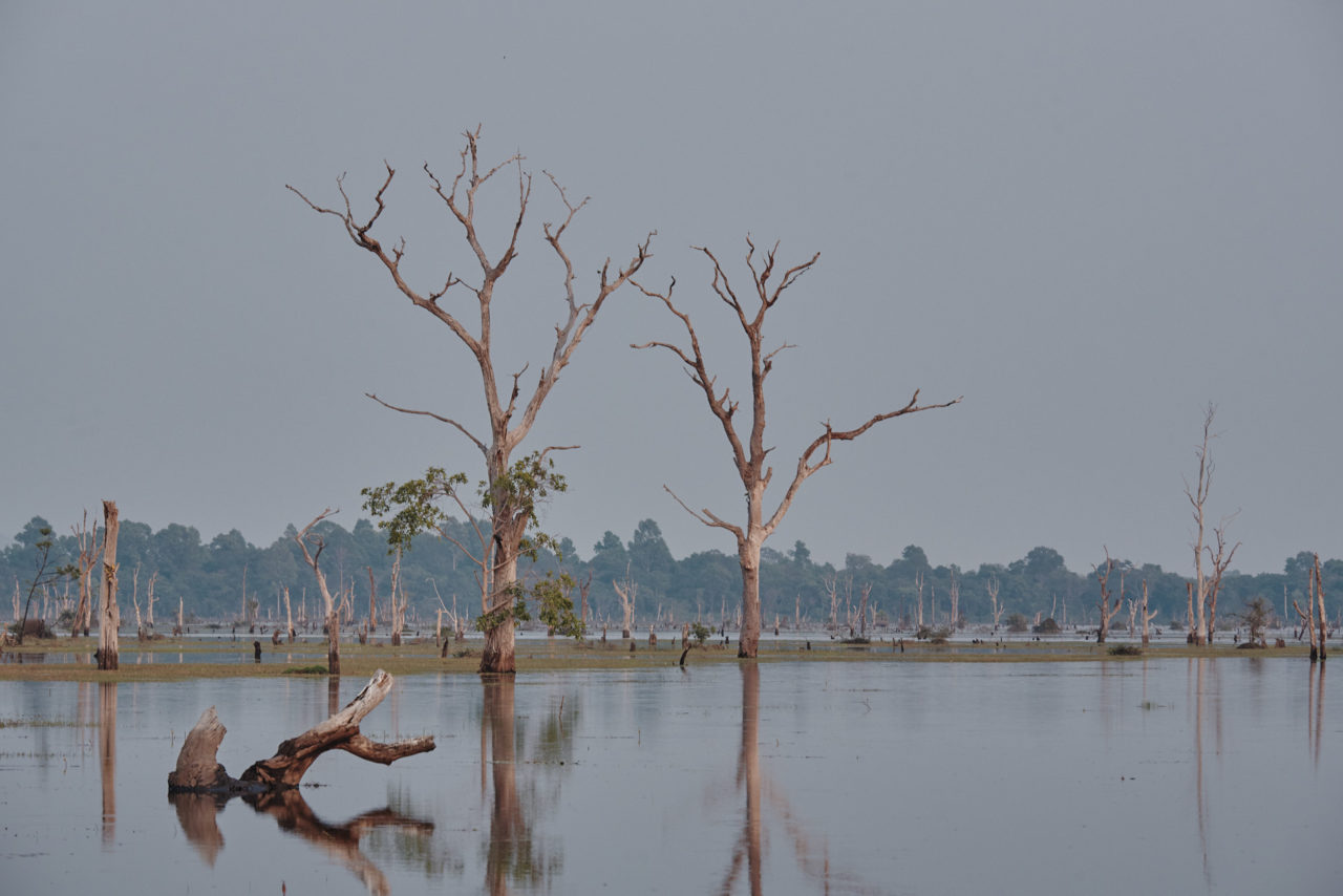 Angkor Archeological Park Cambodia Photographed by Lucian Niculescu