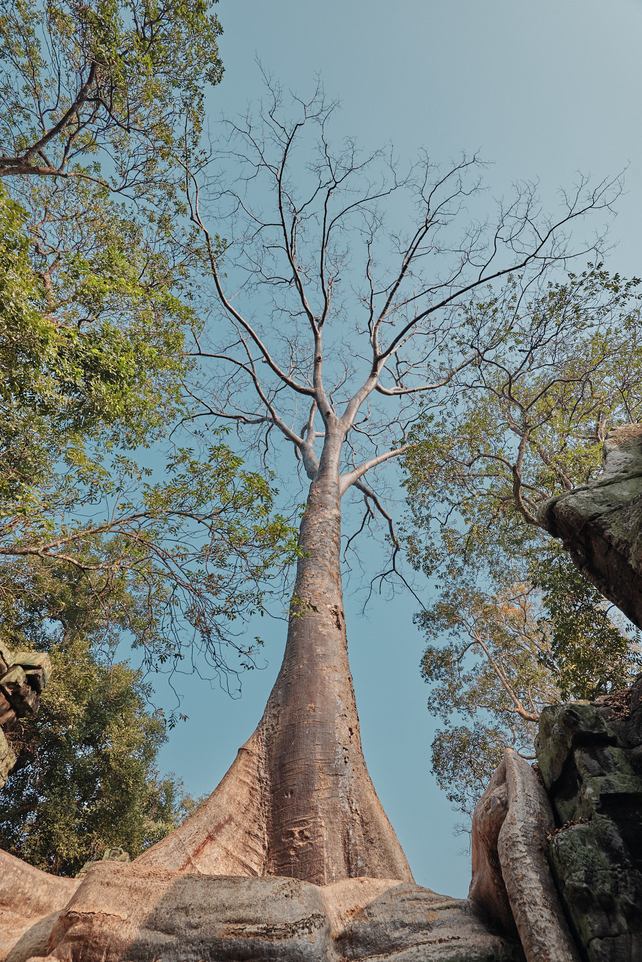 Angkor Archeological Park Cambodia Photographed by Lucian Niculescu