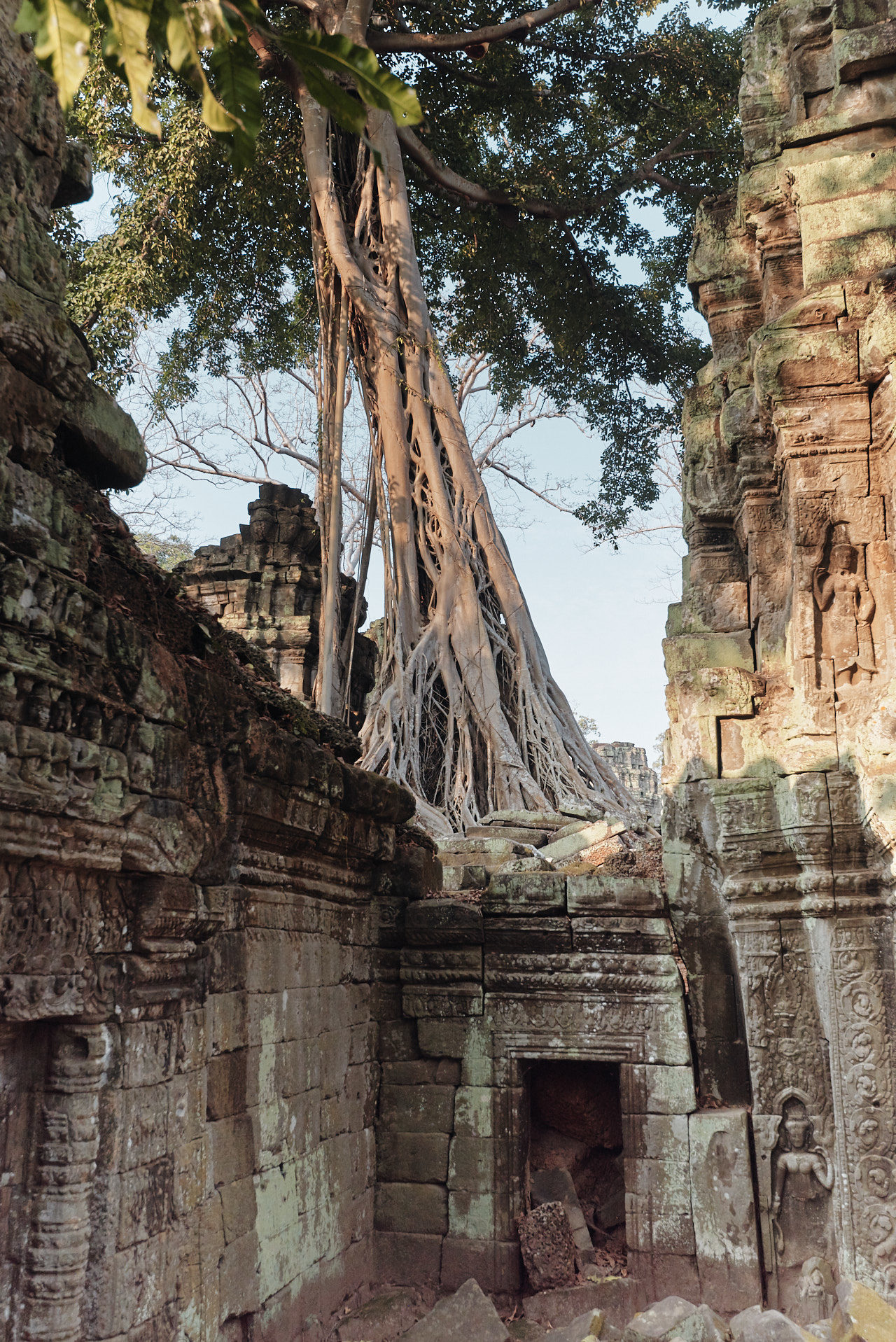 Angkor Archeological Park Cambodia Photographed by Lucian Niculescu