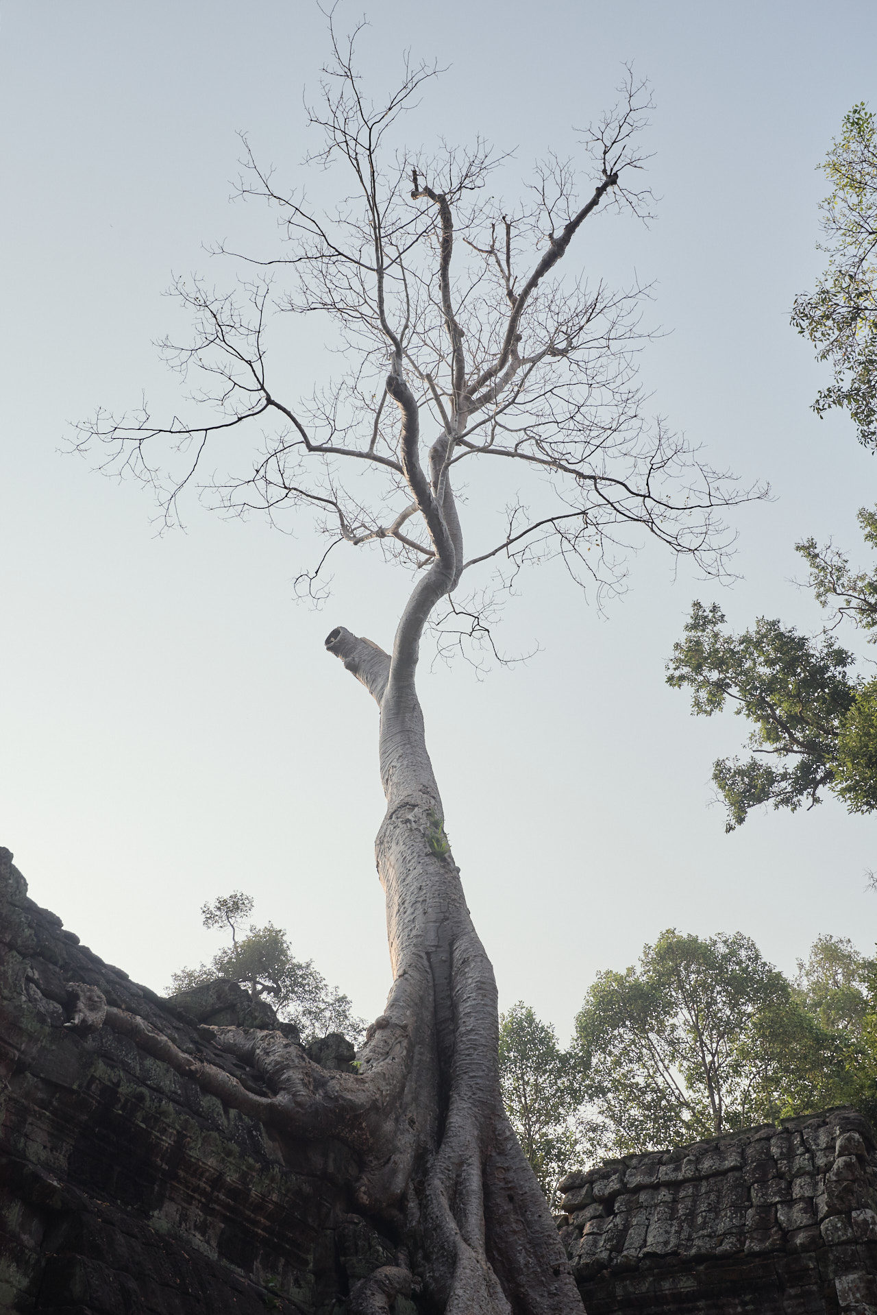 Angkor Archeological Park Cambodia Photographed by Lucian Niculescu