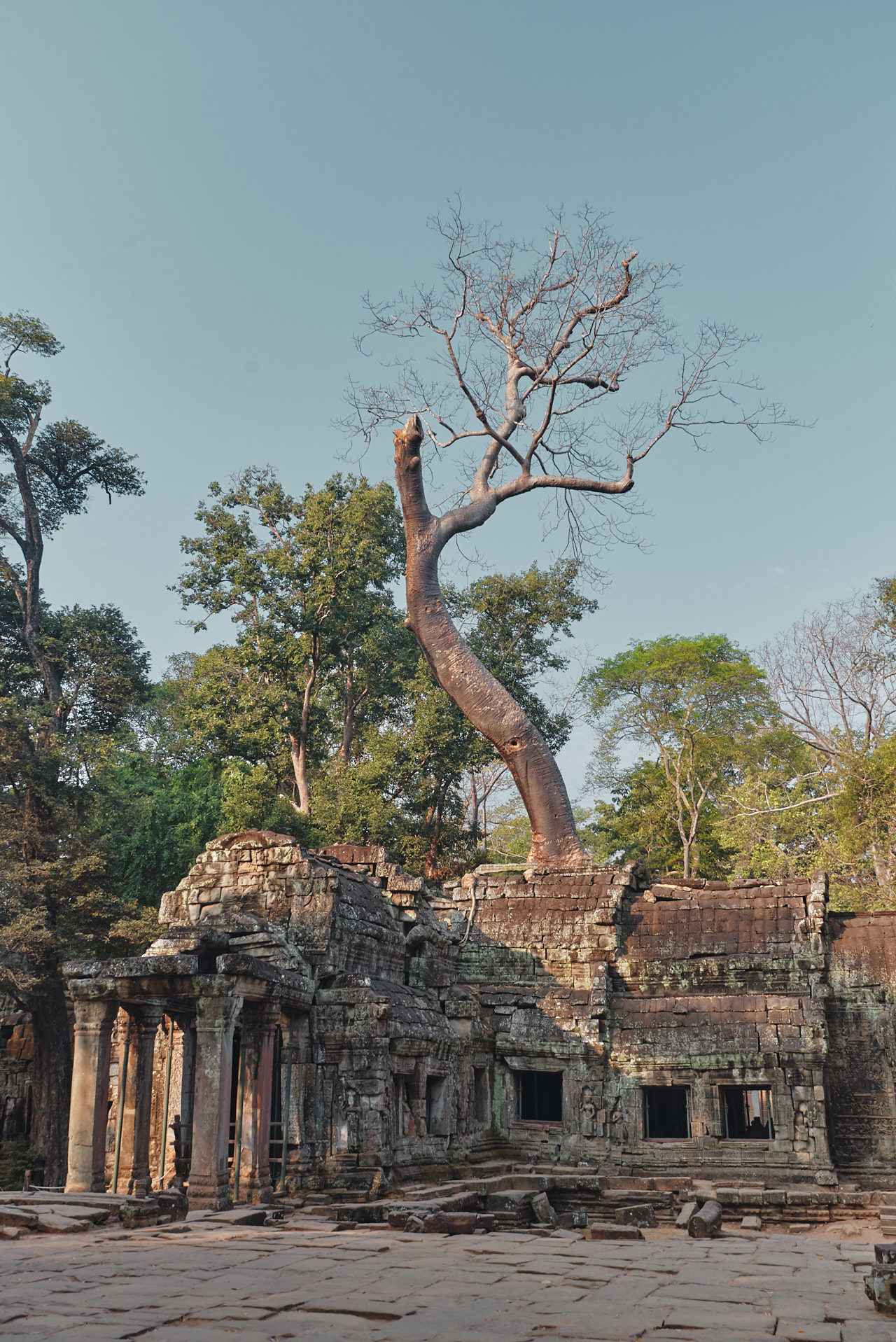 Angkor Archeological Park Cambodia Photographed by Lucian Niculescu
