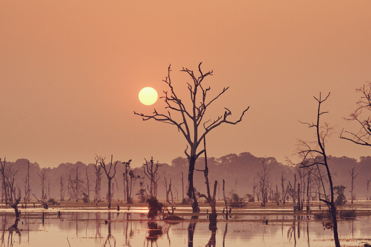 Angkor Archeological Park Cambodia Photographed by Lucian Niculescu