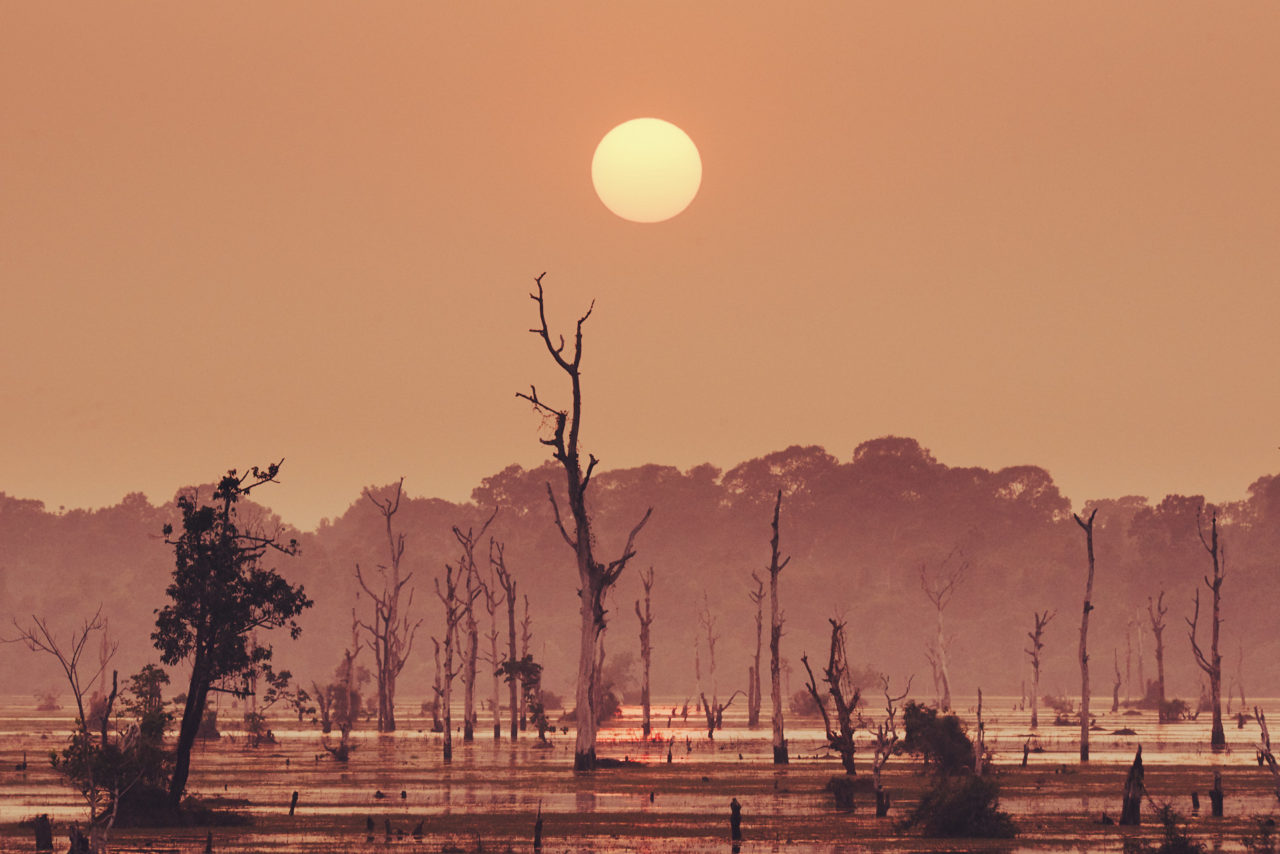 Angkor Archeological Park Cambodia Photographed by Lucian Niculescu