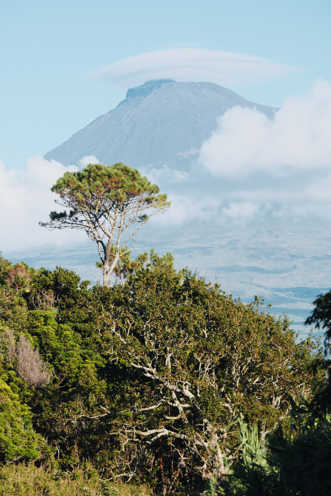 Faial, Azores