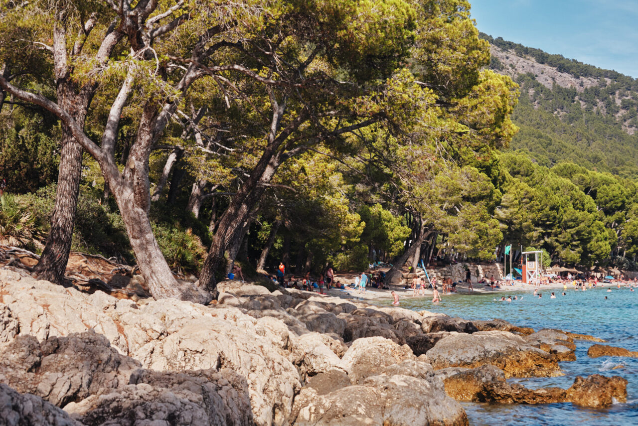 Mallorca Balearic Islands 2019 2024