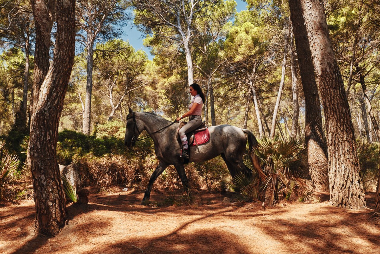 Mallorca Balearic Islands 2019 2024