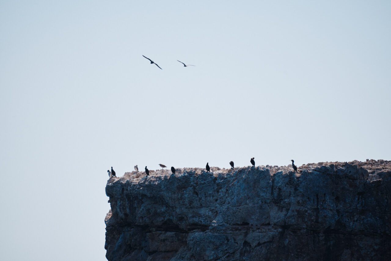 Mallorca Balearic Islands 2019 2024