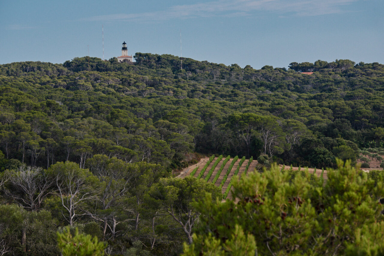 Porquerolles Cote Dazur France