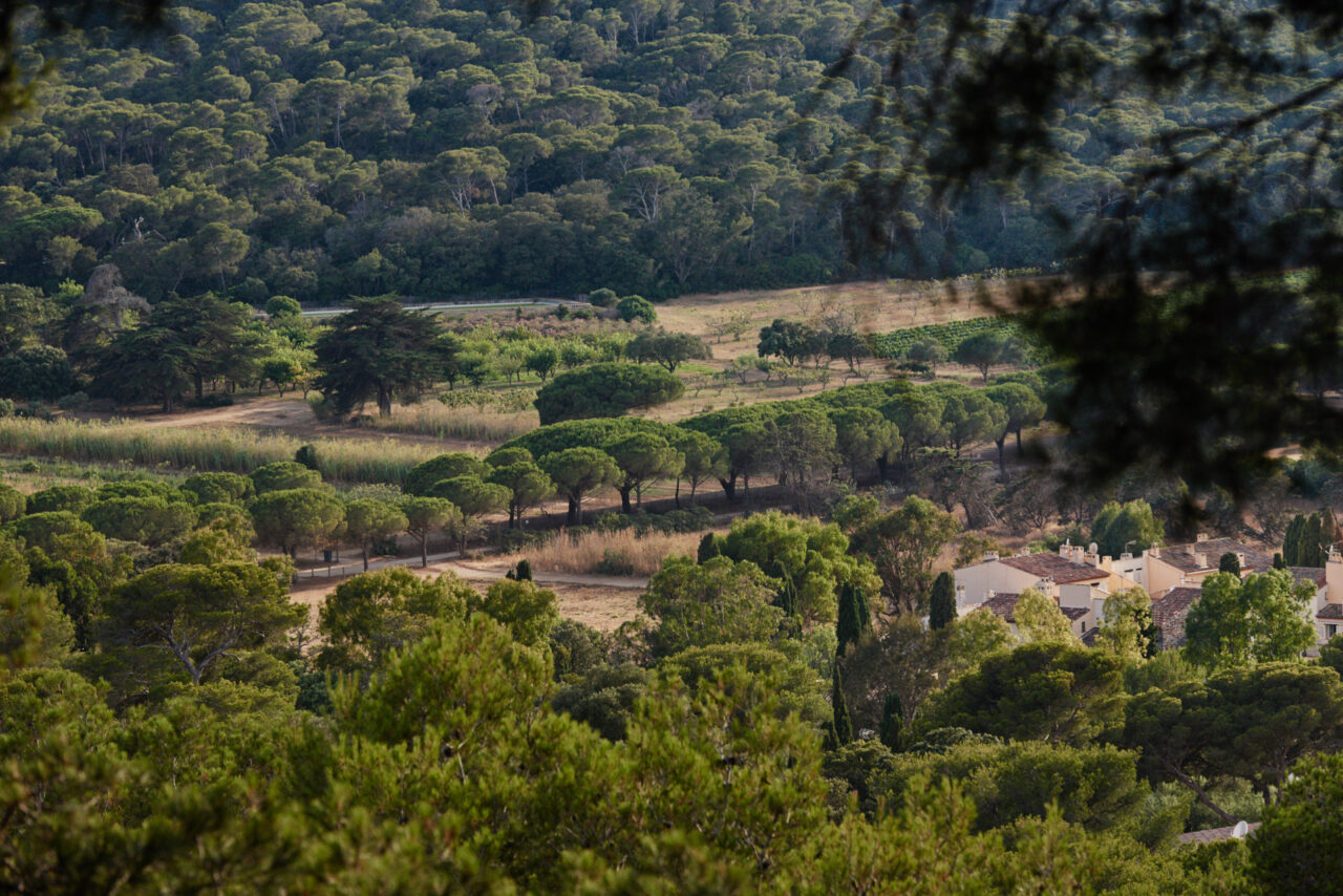Porquerolles Cote Dazur France