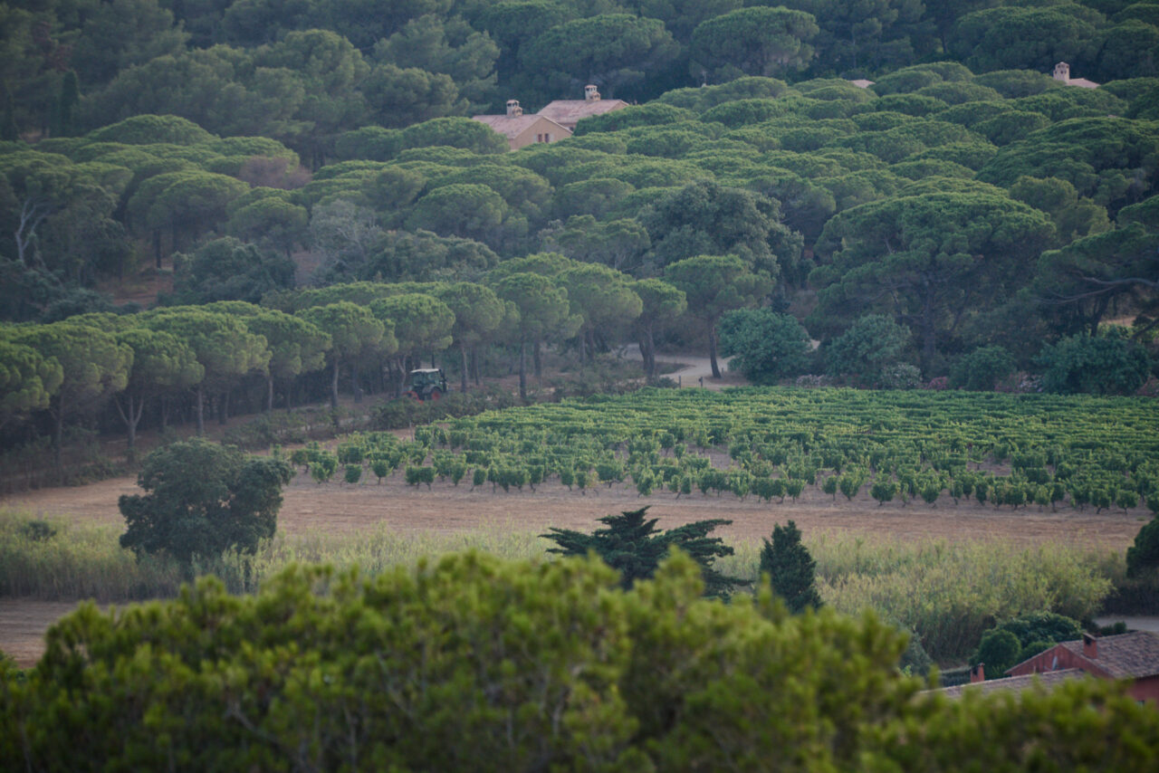 Porquerolles Cote Dazur France