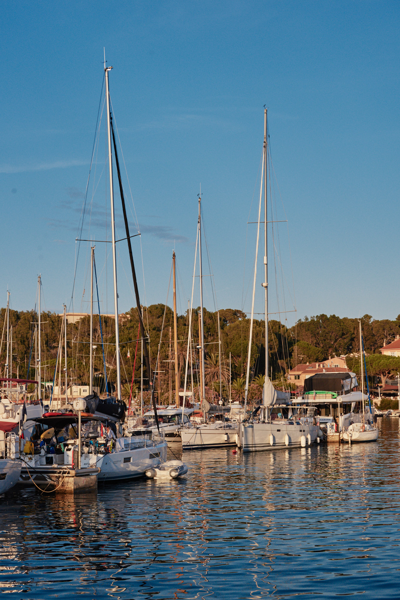 Porquerolles Cote Dazur France