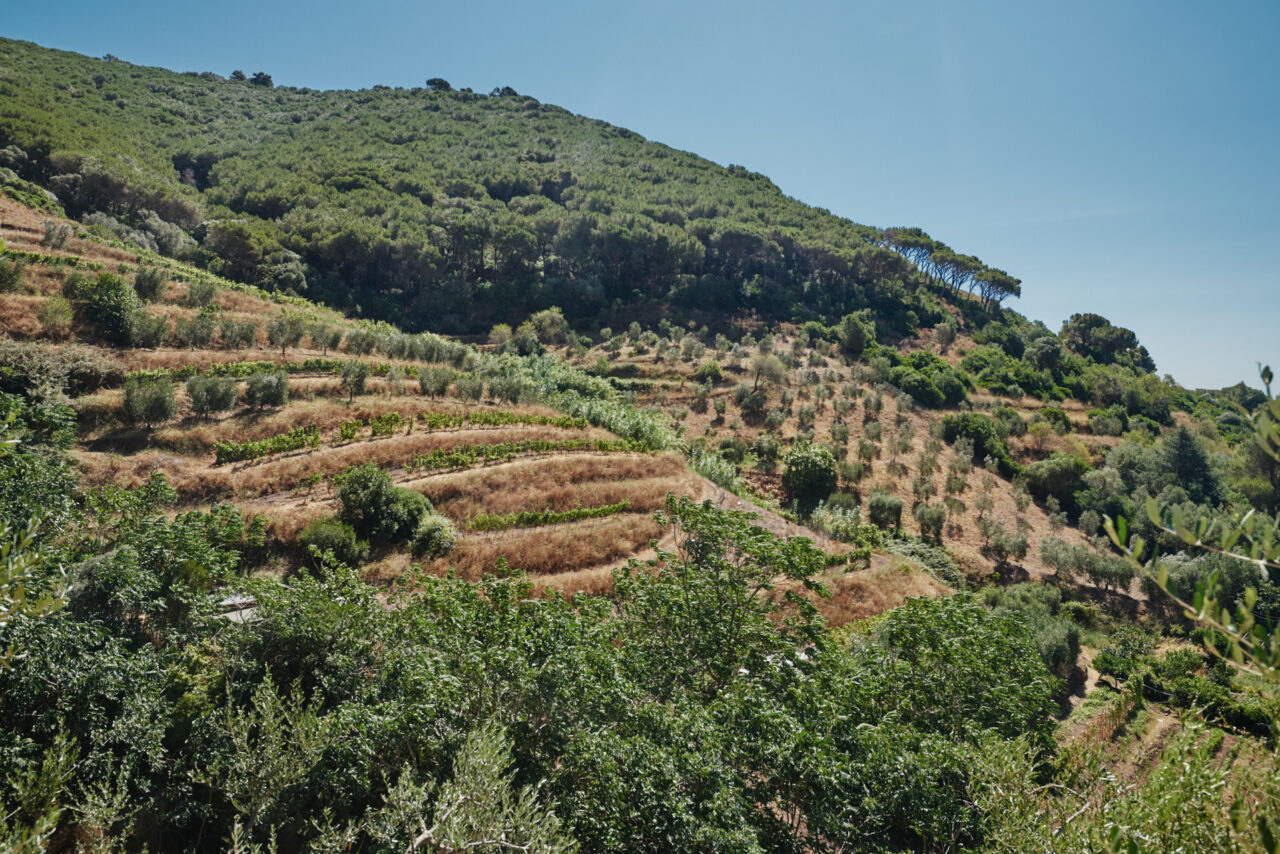 Elba Toscana Italy 2025
