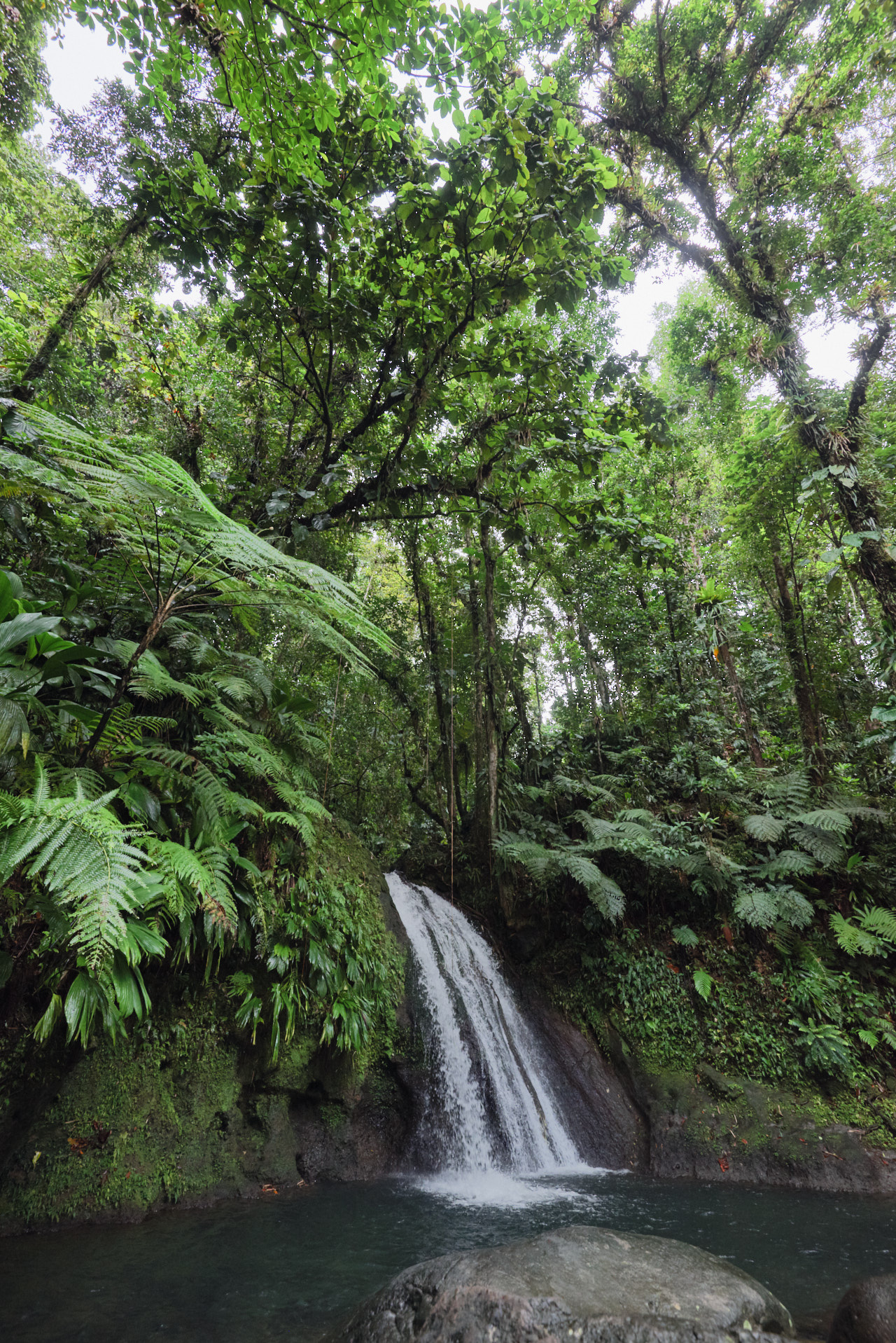 Guadeloupe Caraibes