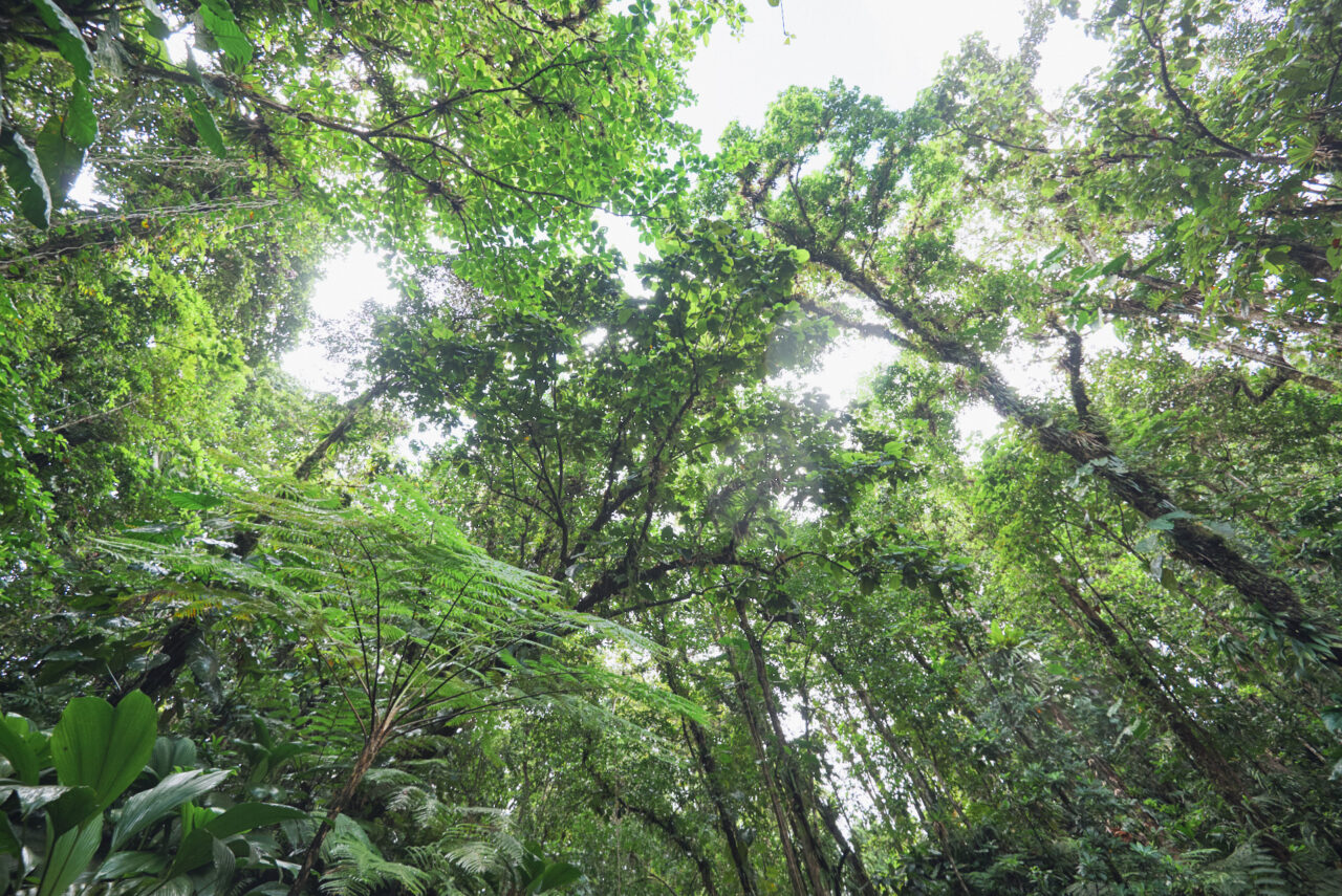 Guadeloupe Caraibes