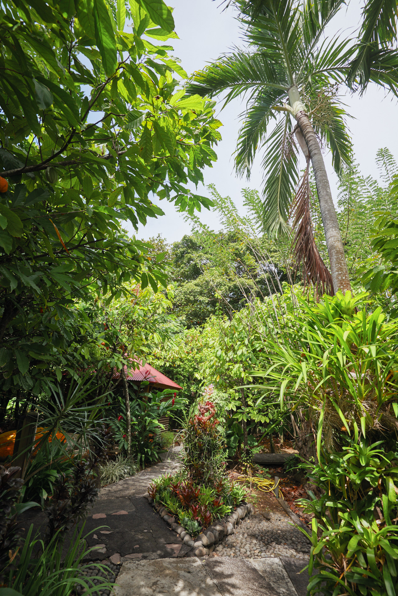 Guadeloupe Caraibes