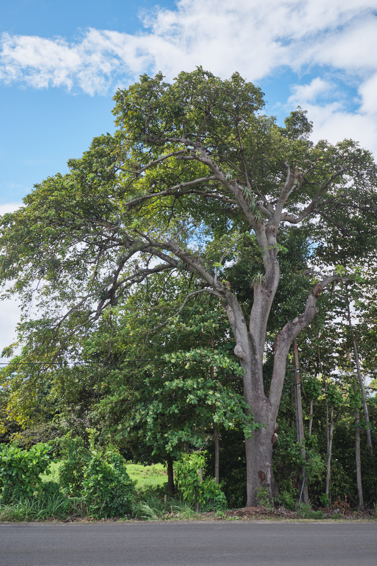 Guadeloupe Caraibes