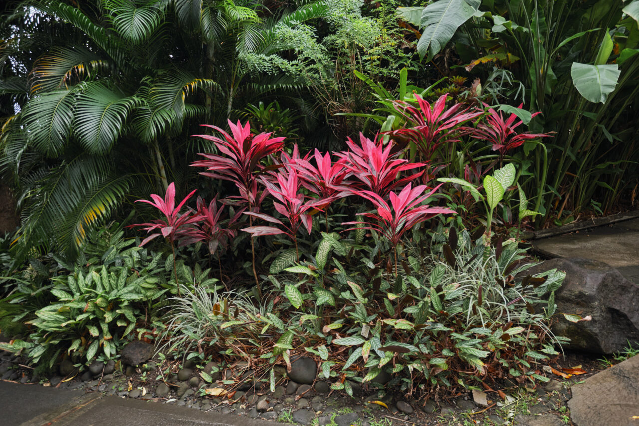 Guadeloupe Caraibes