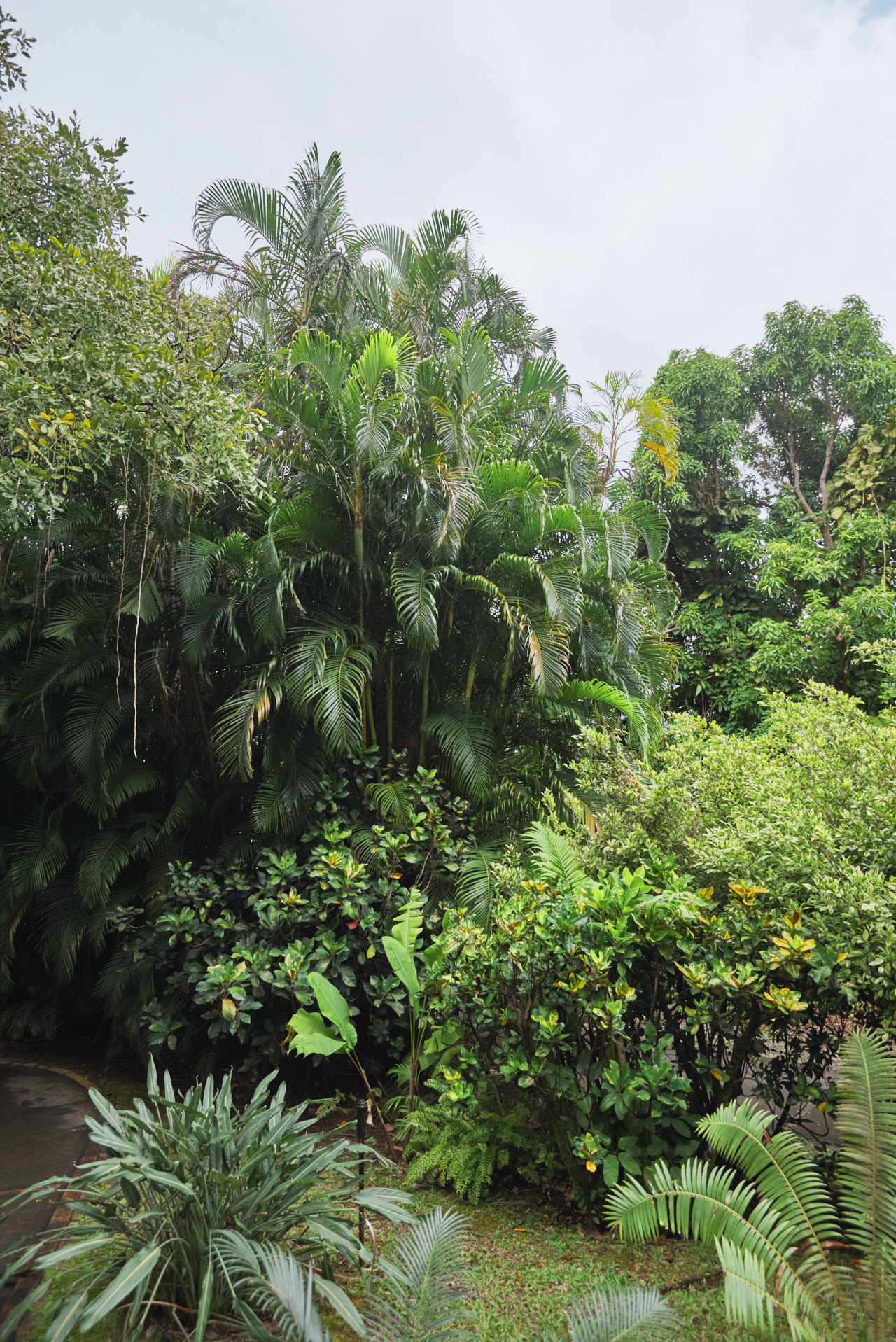 Guadeloupe Caraibes
