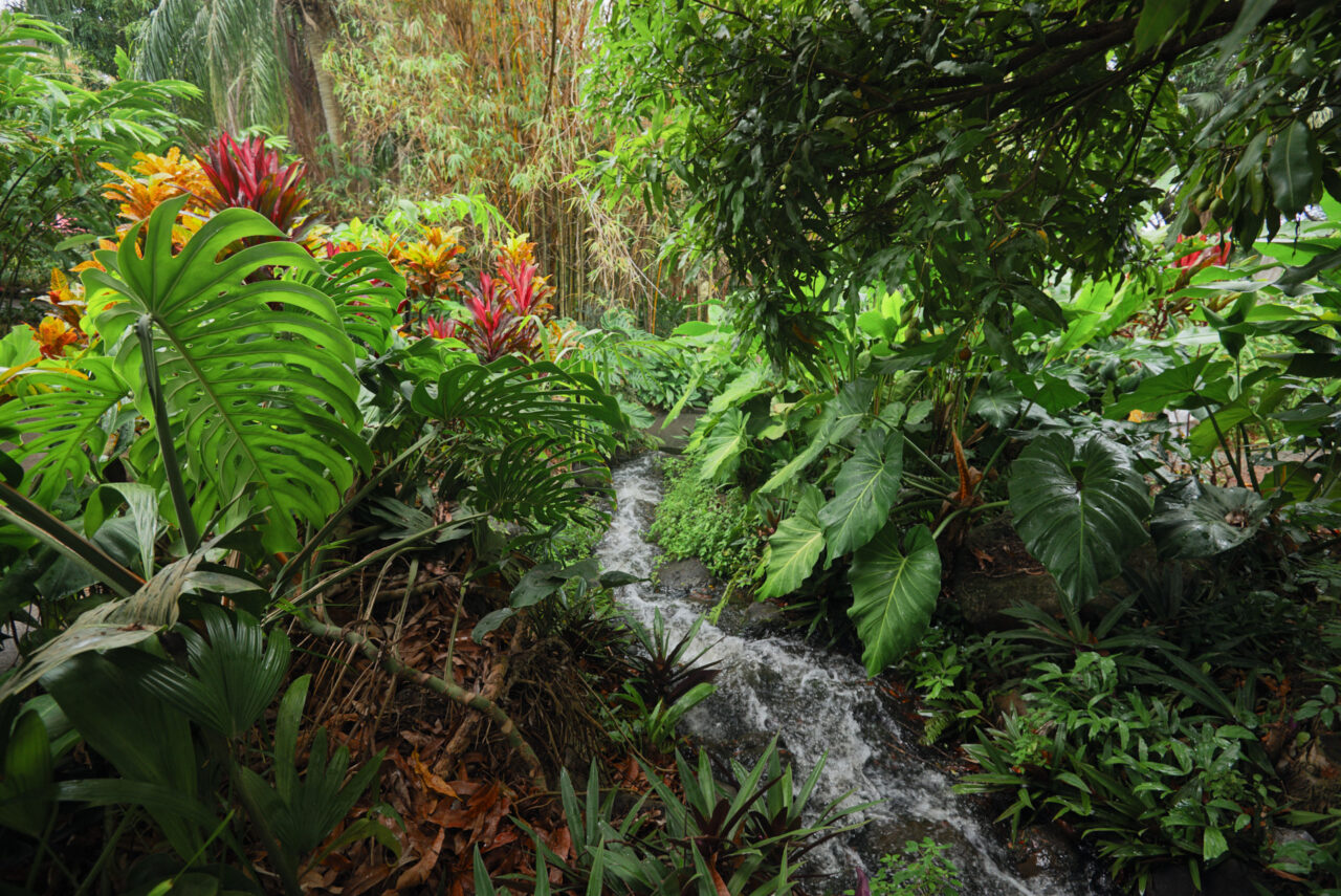 Guadeloupe Caraibes