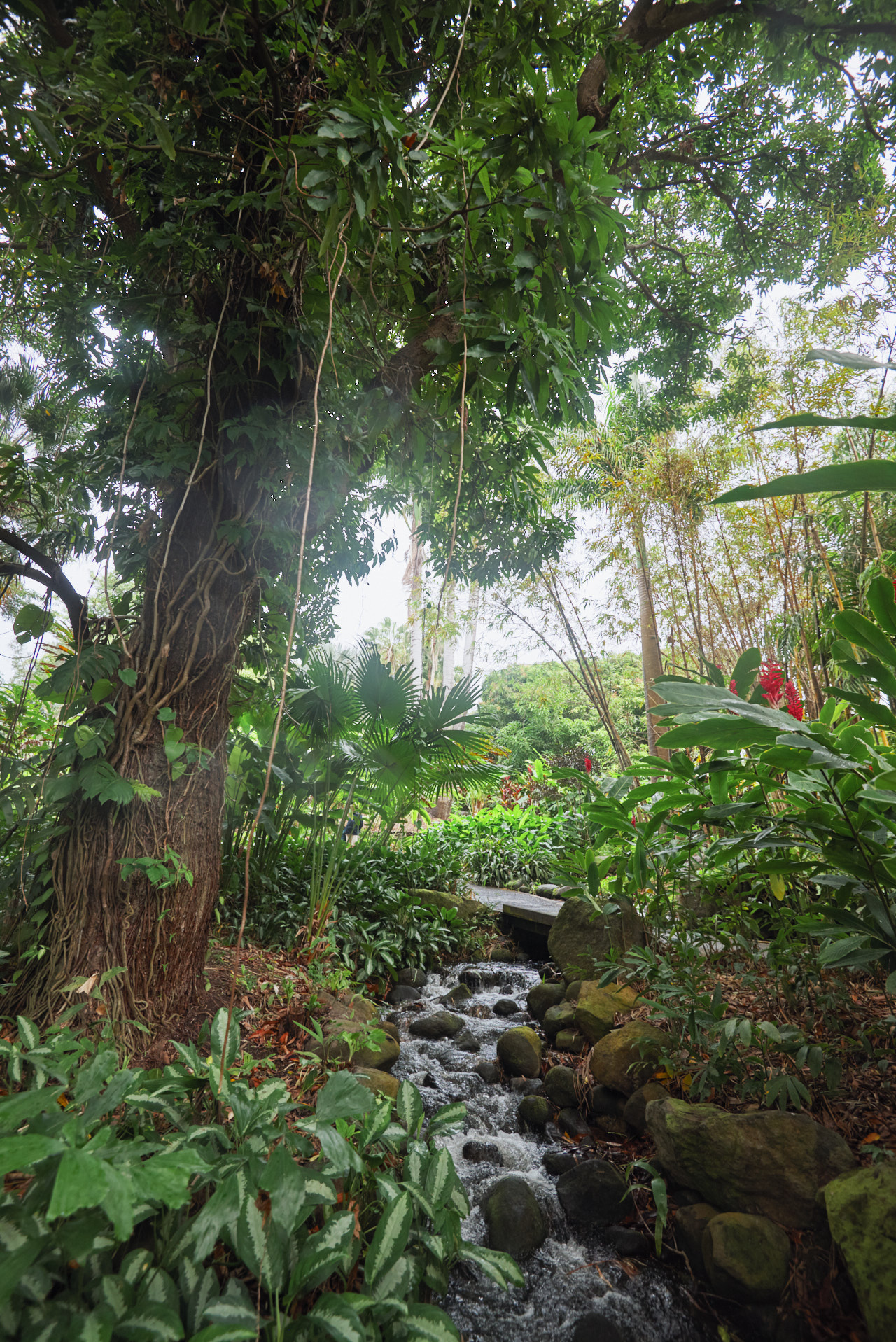Guadeloupe Caraibes