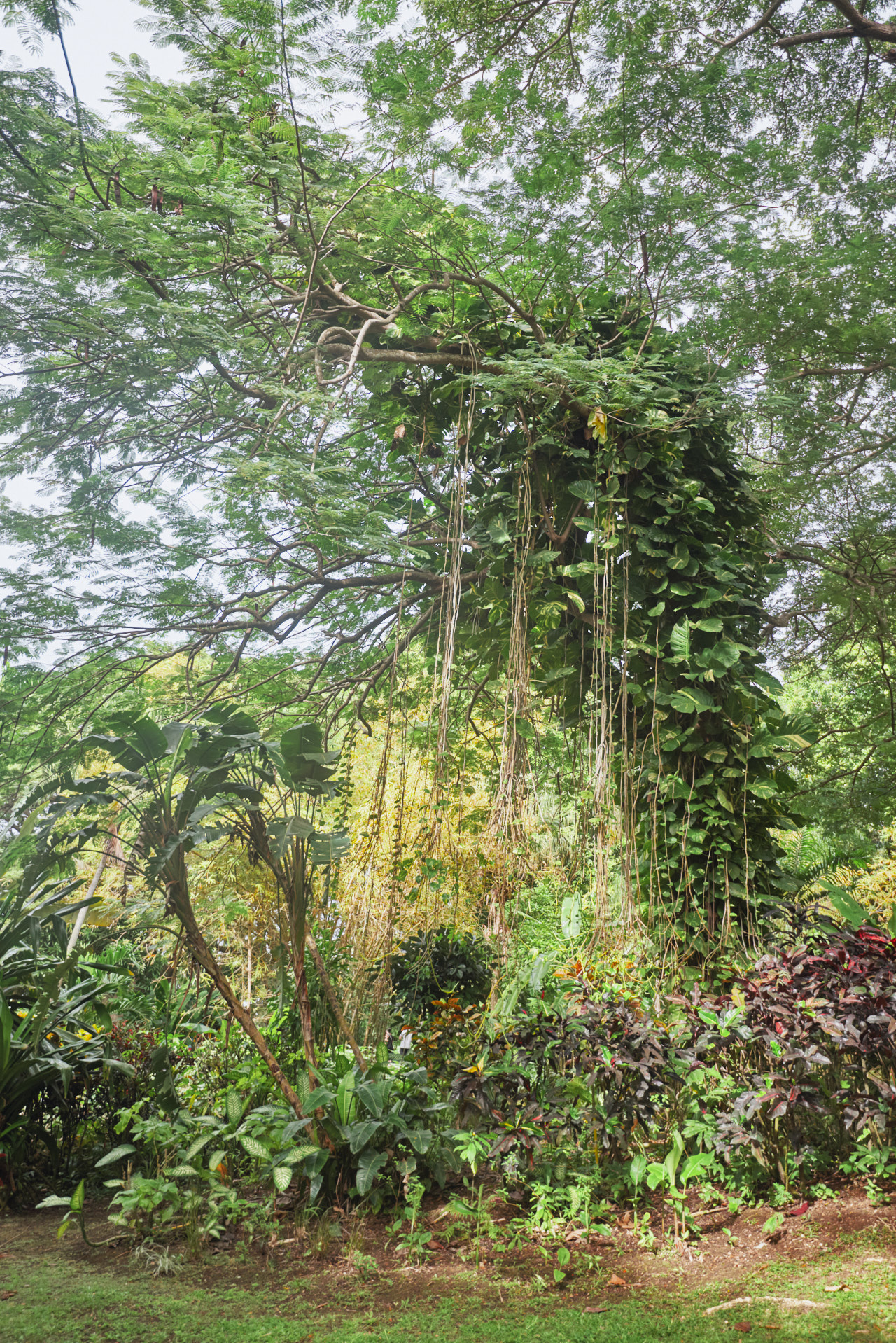Guadeloupe Caraibes