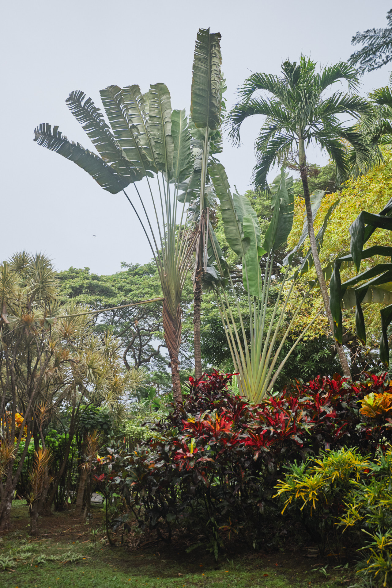 Guadeloupe Caraibes