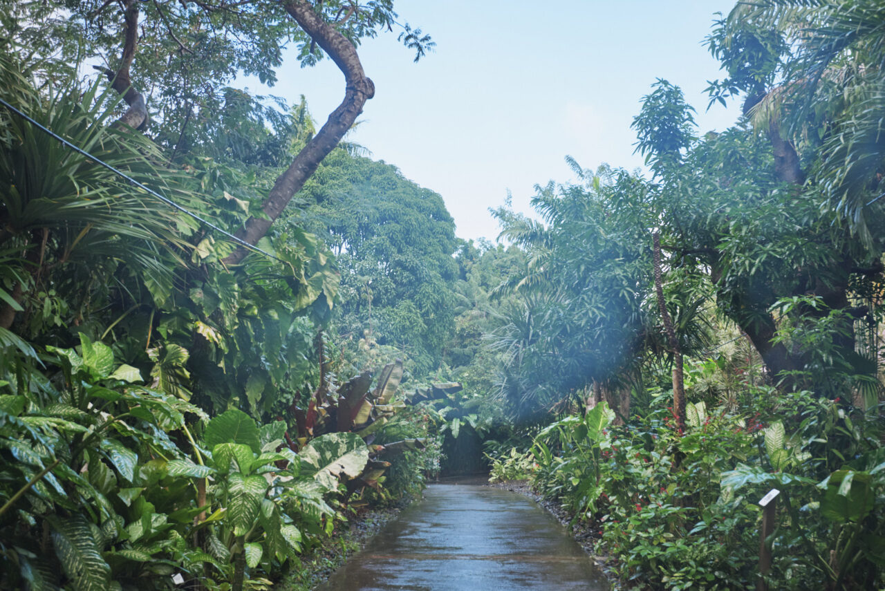 Guadeloupe Caraibes