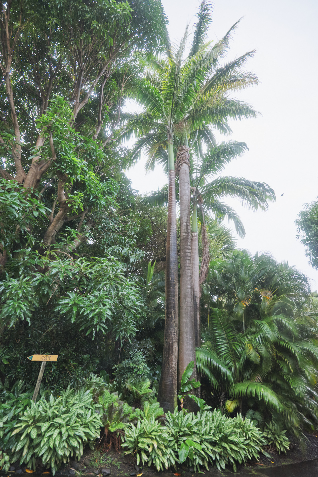 Guadeloupe Caraibes