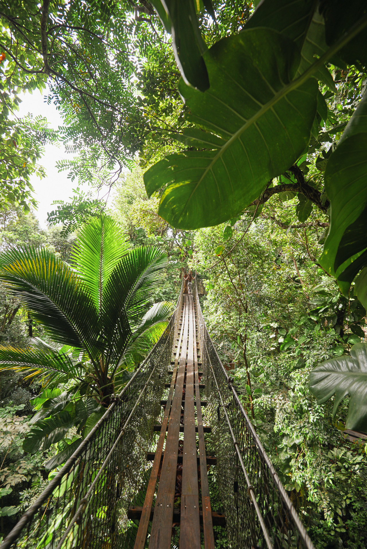 Guadeloupe Caraibes