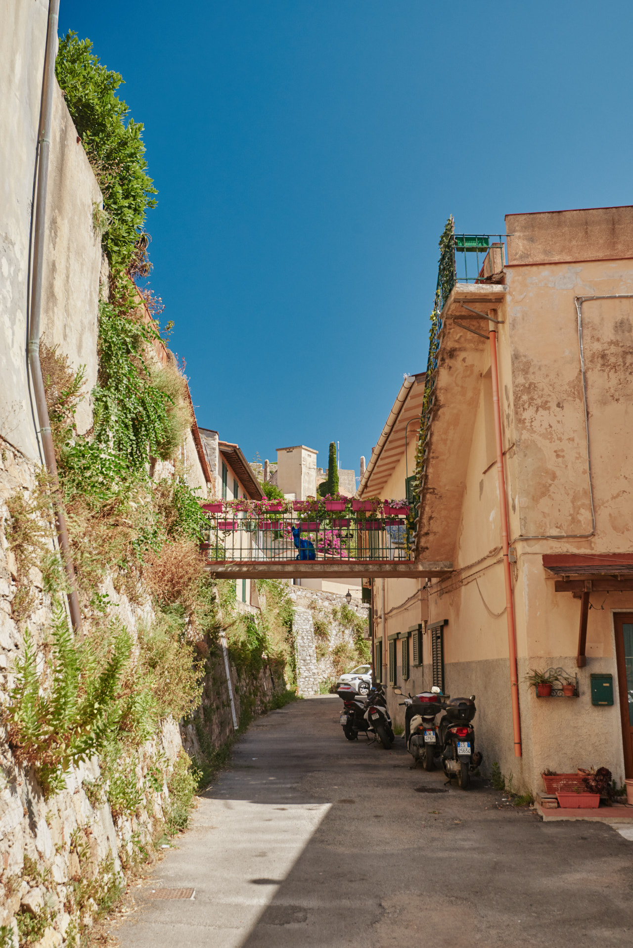 Elba Toscana Italy 2025